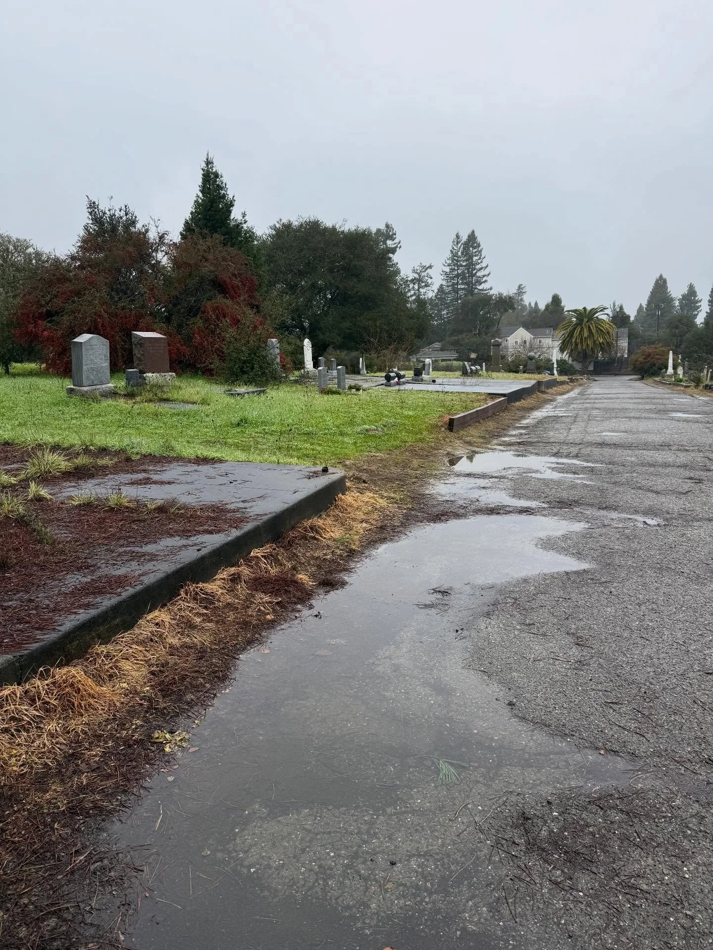 my favorite place 🥹