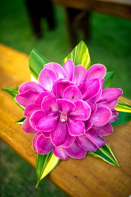 eli_20121027_0570.jpg