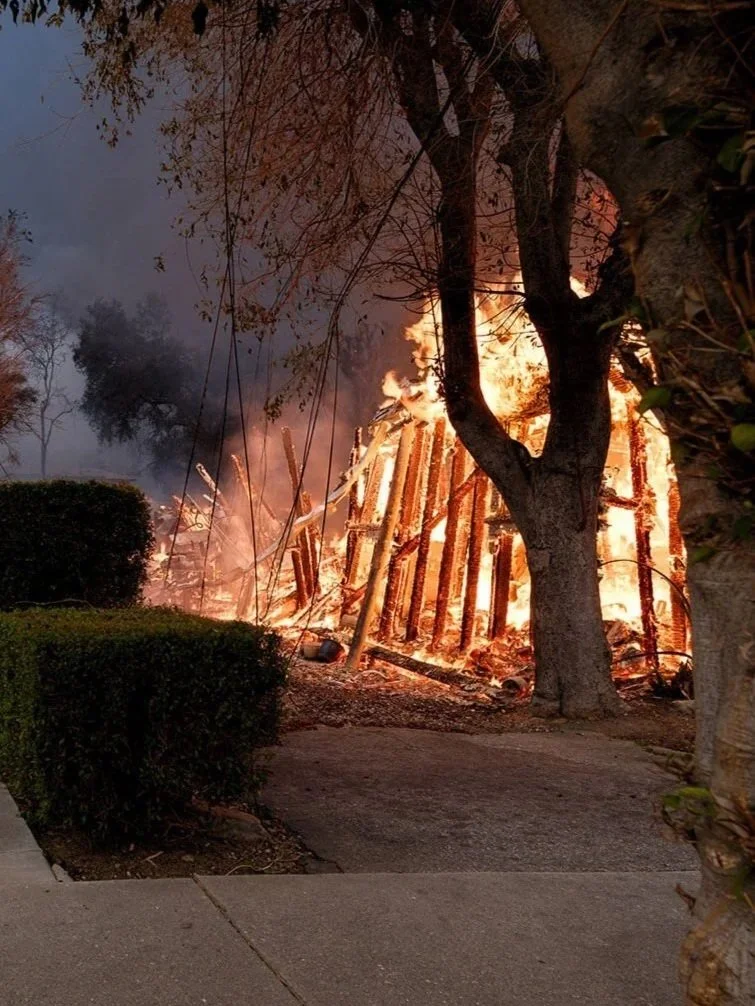 Altadena Elegy (The Architect's Newspaper)