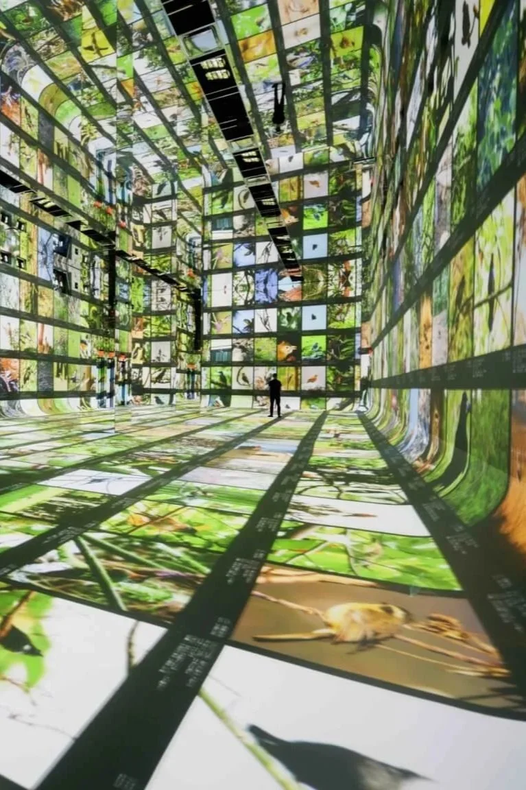 DATALAND, “the world’s first Museum of AI Arts,” paints the industry in a beguiling light (The Architect's Newspaper)