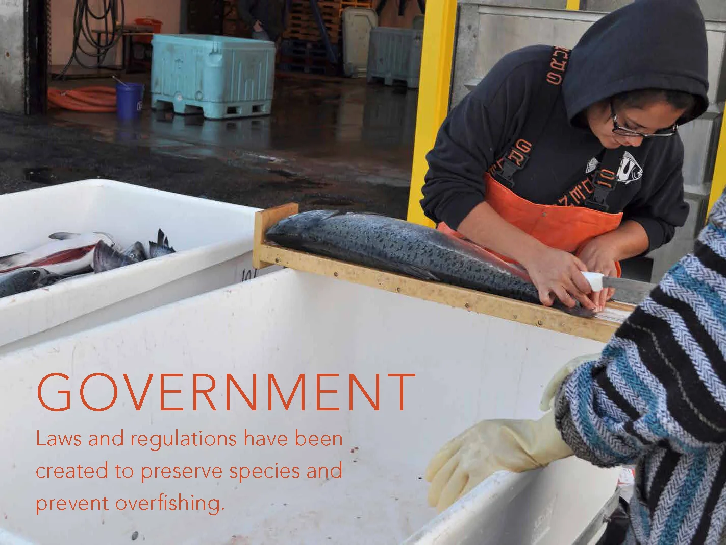 Fishermen Presentation_jpeg_Page_04.jpg