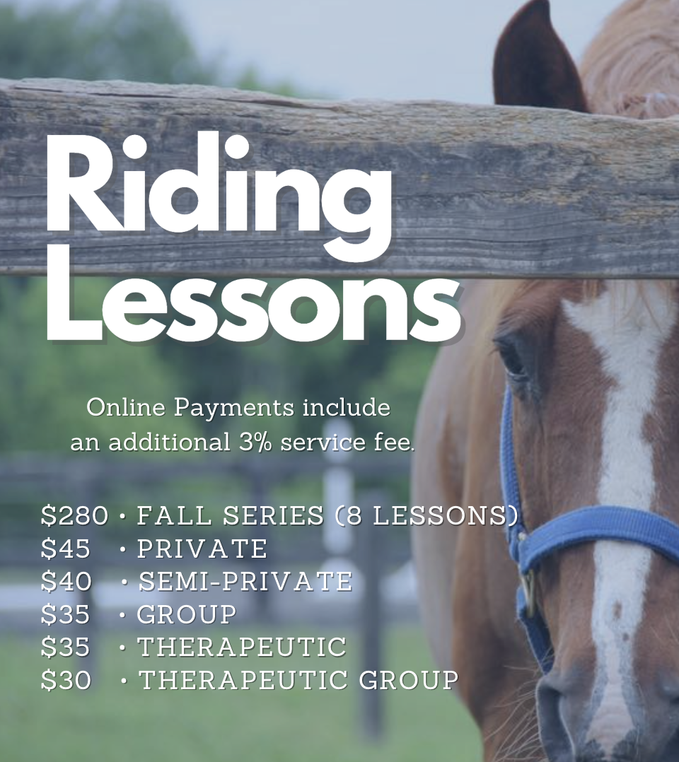 1 Am Riding Riding Lessons — The Riding Centre
