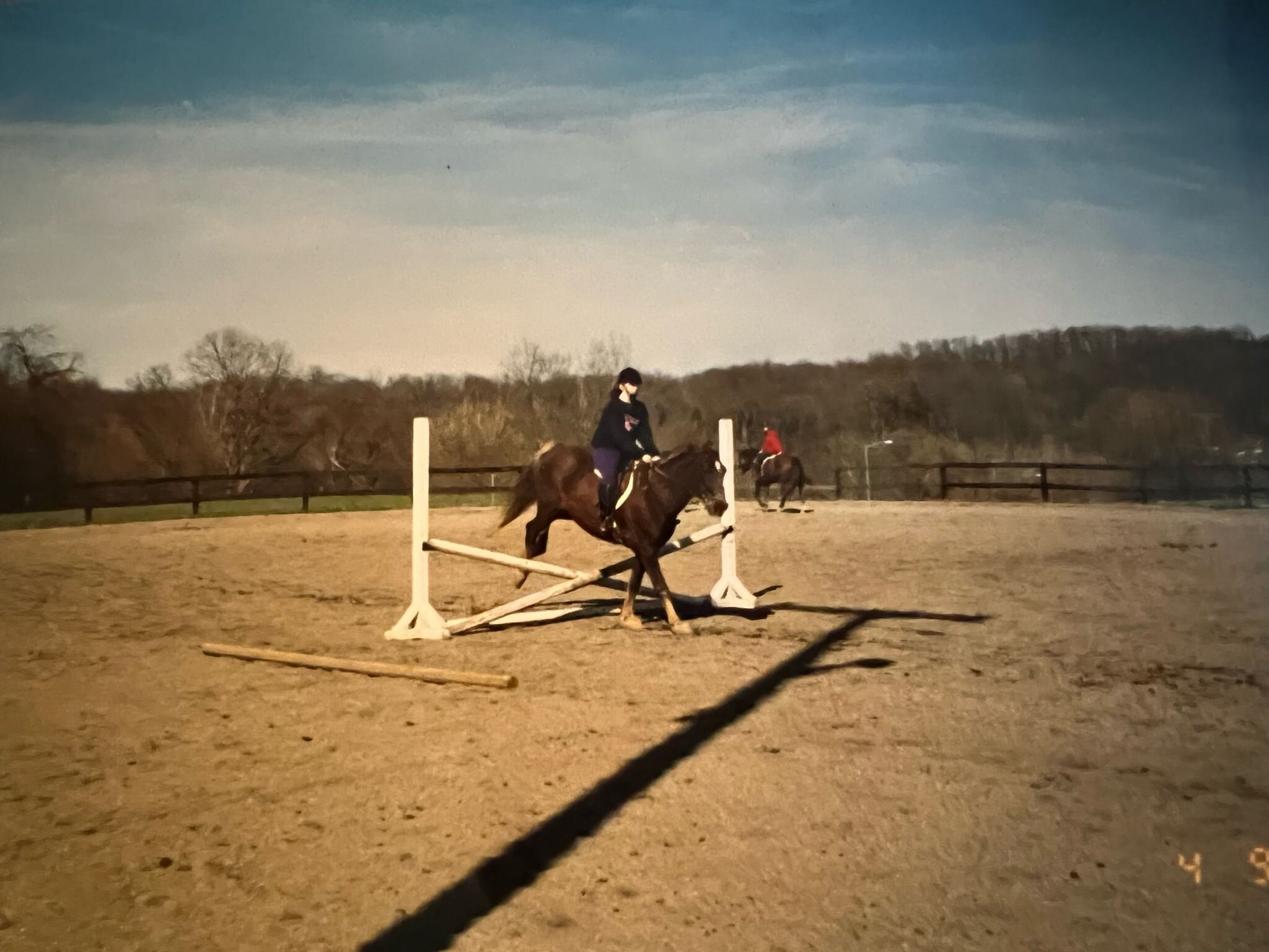 Does anyone recognize this iconic lesson horse? As a hint, Adriene and Regina both rode him when they were students at the Riding Centre, although this picture is of board member Colleen Whitty Iungerman jumping him. 
If you don't recognize him, take