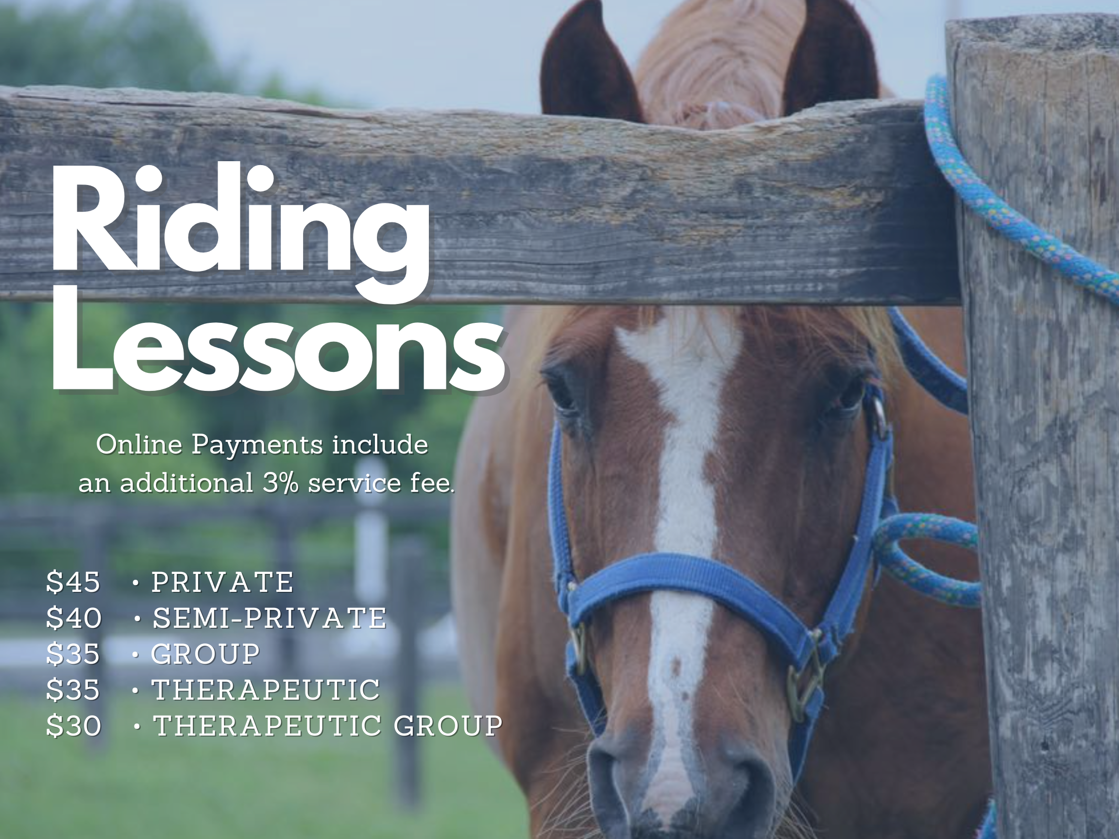Lessons and Clinics — The Riding Centre