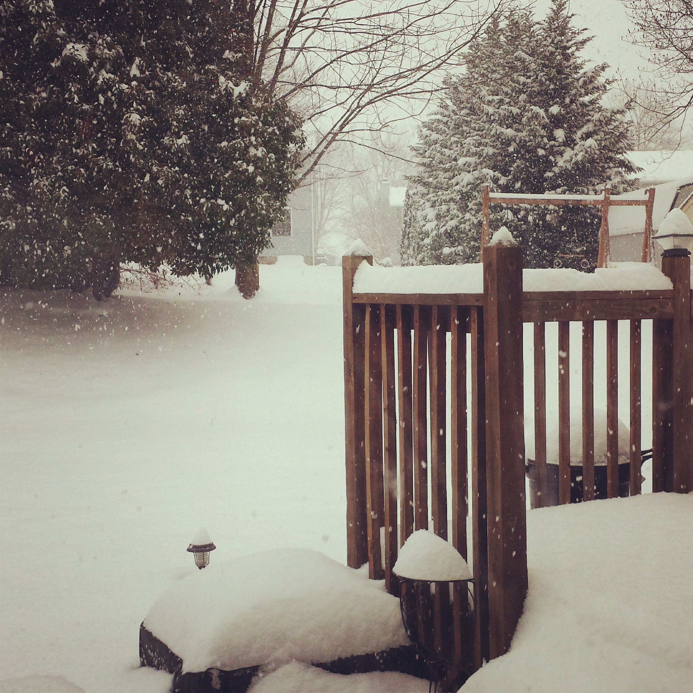 Oh the winter of 2013-2014. The winter that brought us the infamous 'Polar Vortex'. And polar it was! We started getting snow back in Oct. 2013 and we still had some by late March. 
