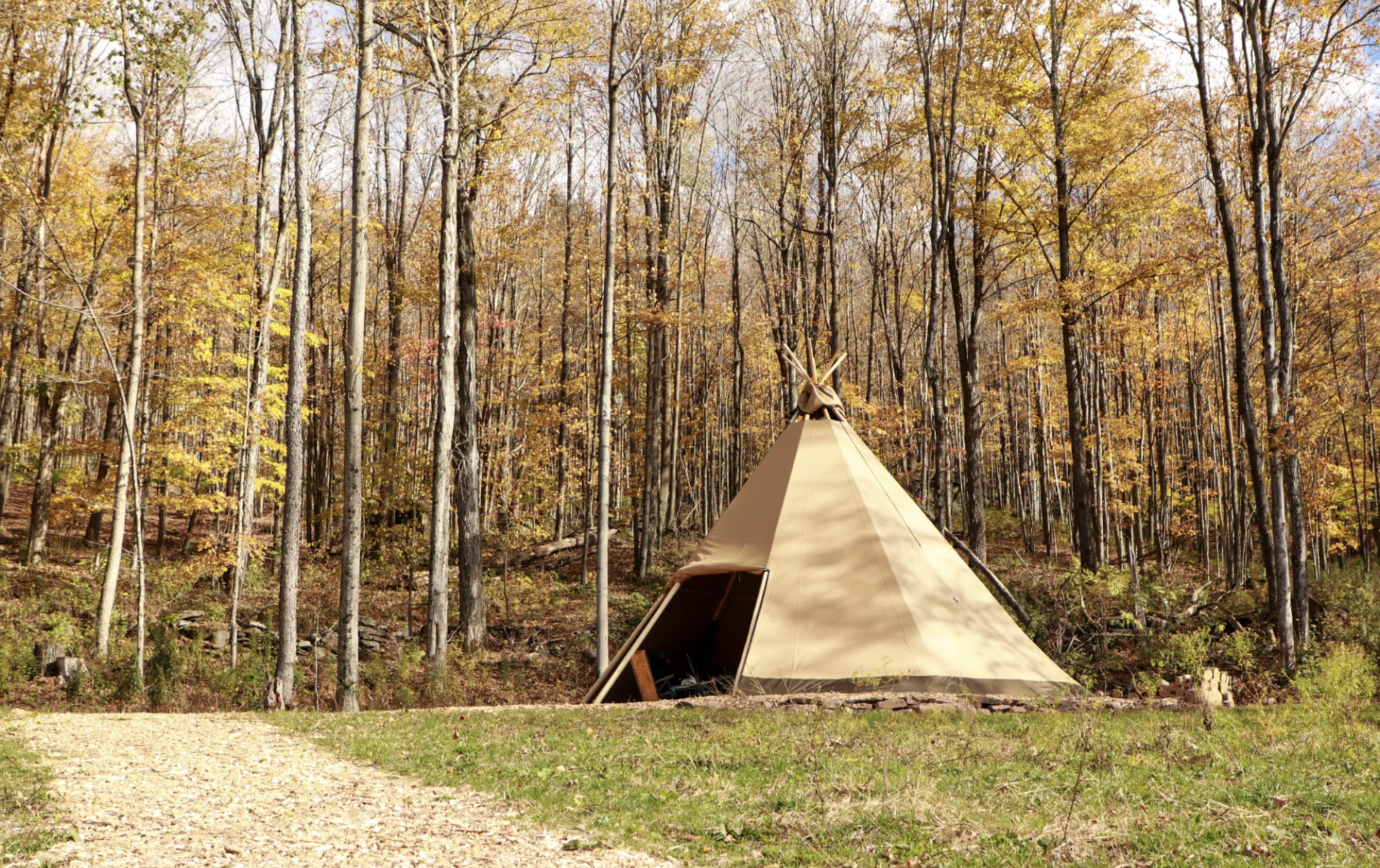 A tan teepee tent set up in a forest with tall trees displaying autumn foliage in shades of orange, yellow, and brown.
