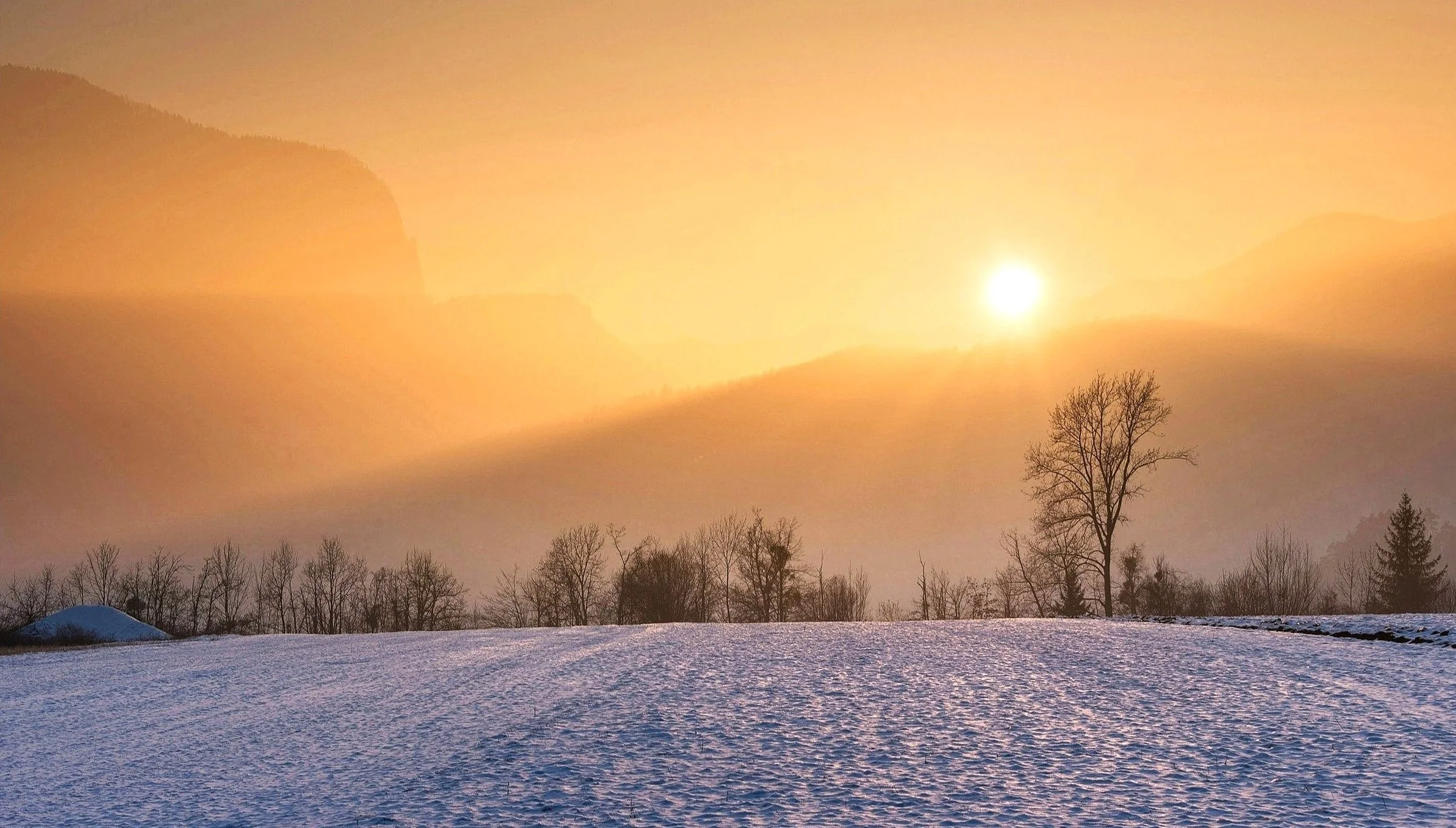 Nature Deficit Disorder and Mental Health