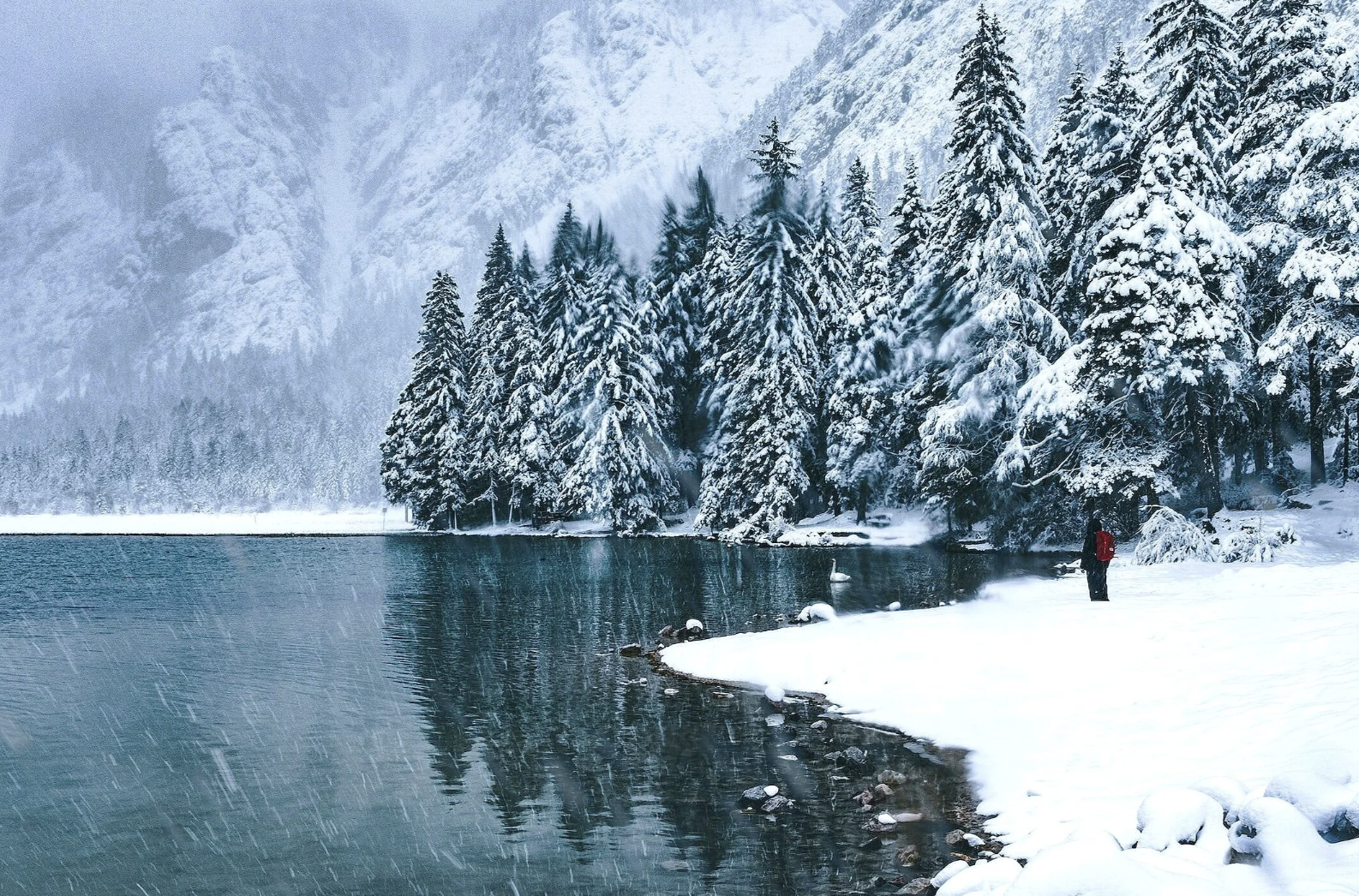 Mental Health During Holidays