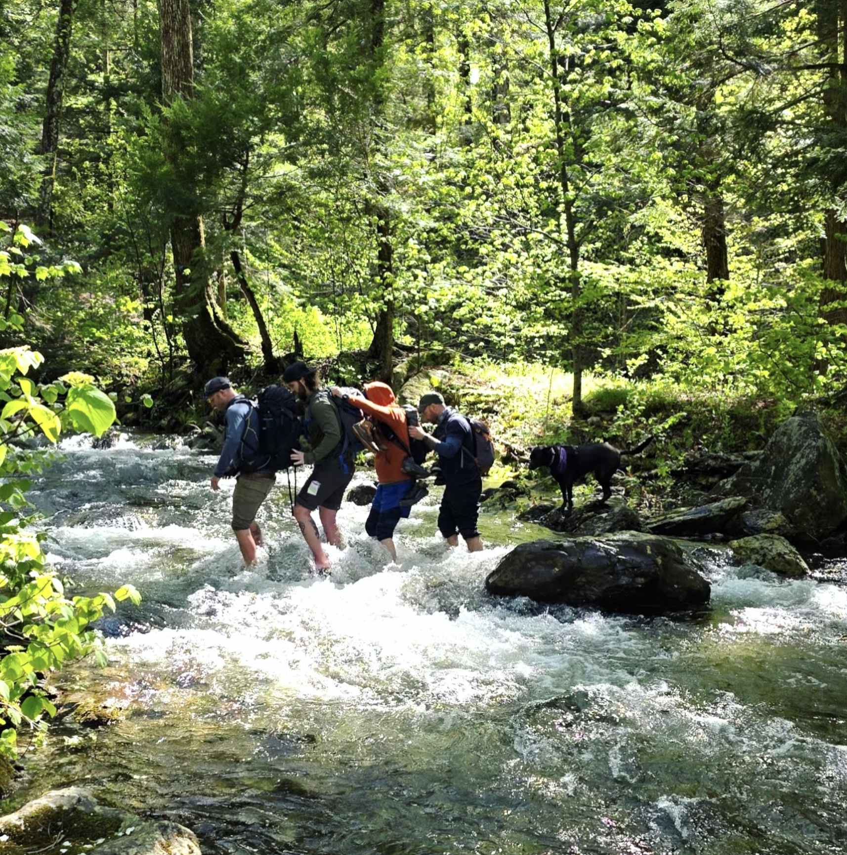 Adventure Recovery Groups in Nature.png