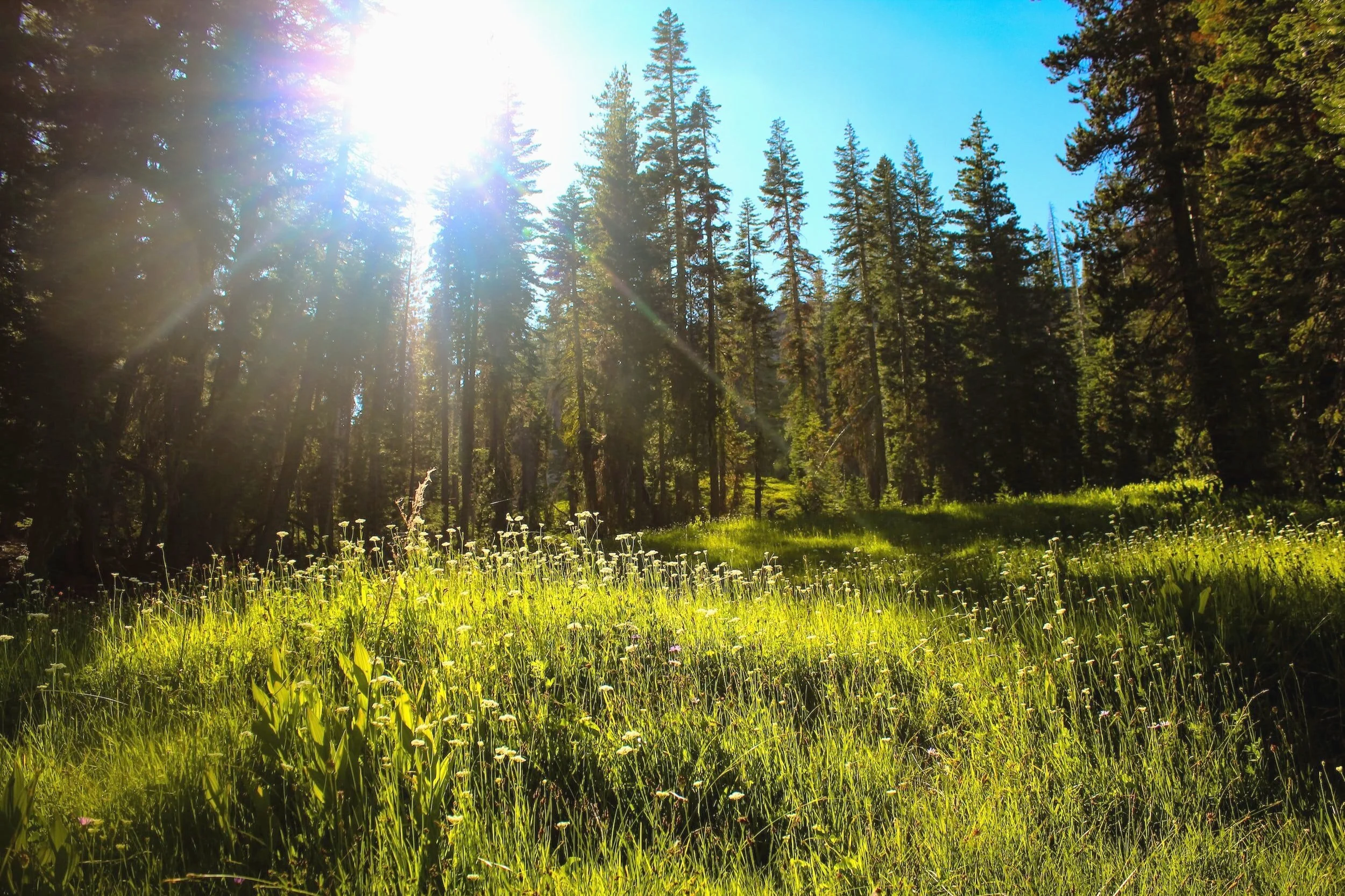 How to Manage Stress and Anxiety, Outside