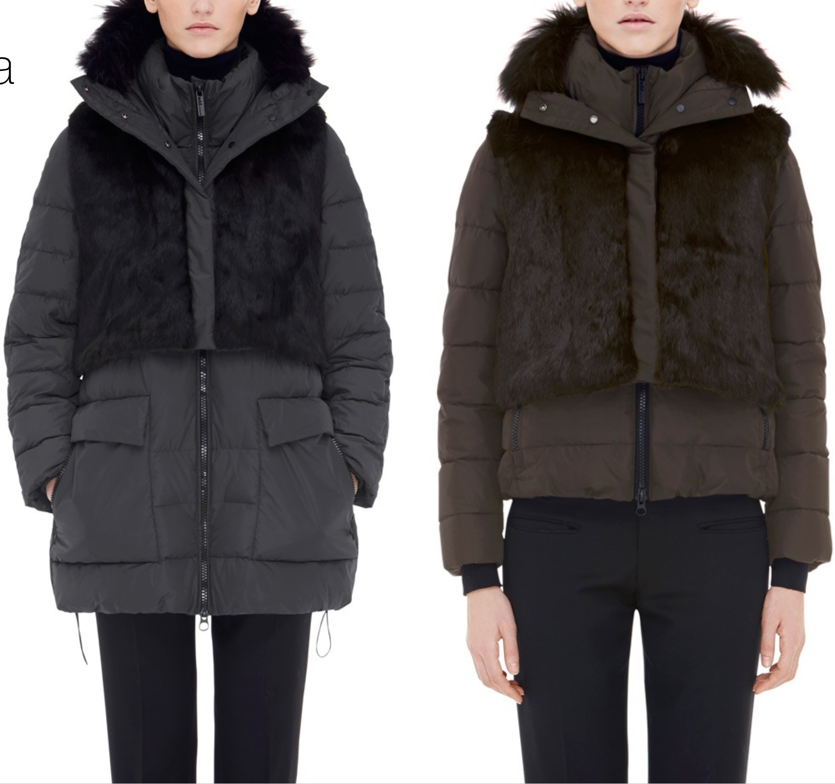 Screen Shot 2015-01-16 at 12.19.29 PM.png