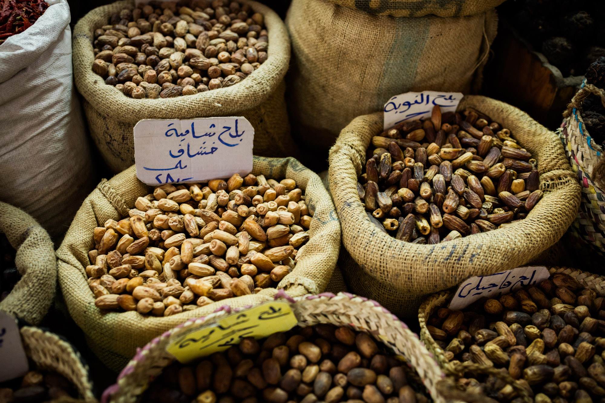 Egypt2018V2Smll-496.jpg