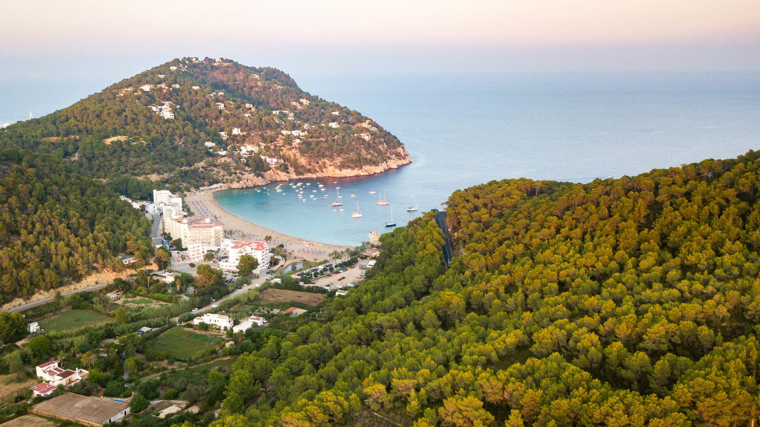 DJI_0993.jpg