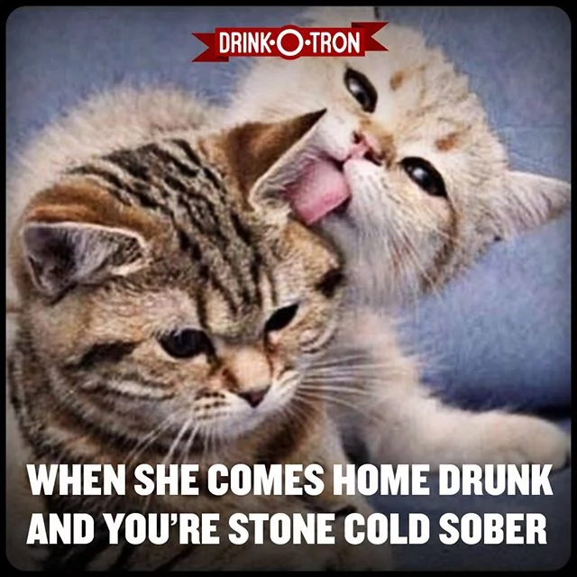 #drinkotron #drinkotron#drunkpotato #balagan #drinkinggames#hangover #beer #drunk #cheers#daydrinking #iphone #android #free #app