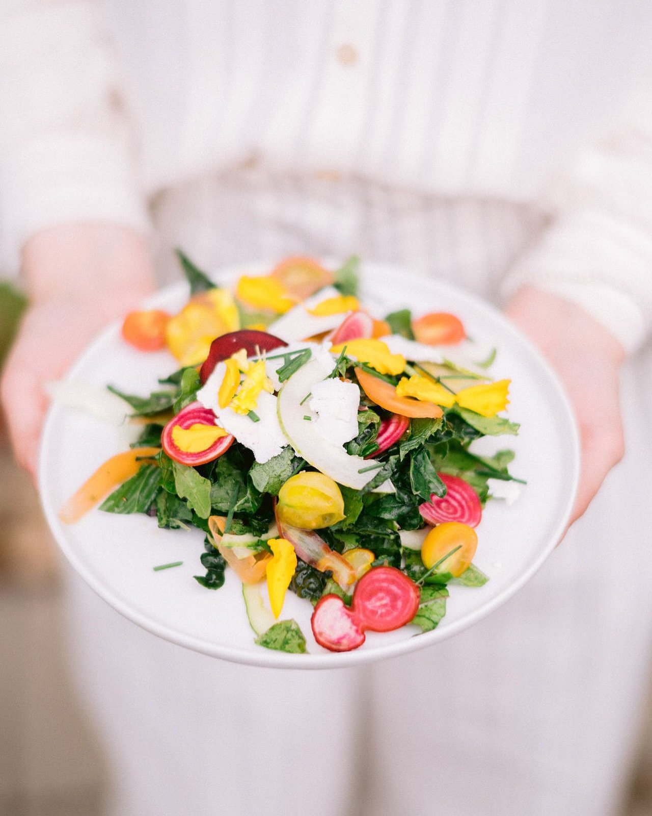 All of the colors of the season in one delicious salad! 🌼🥬🥕🩷 

We can&rsquo;t wait to serve up our &ldquo;zero mile&rdquo; salads made almost entirely of BDP-grown ingredients at our Urban Farm Dinner Series! It kicks off next month and tickets a