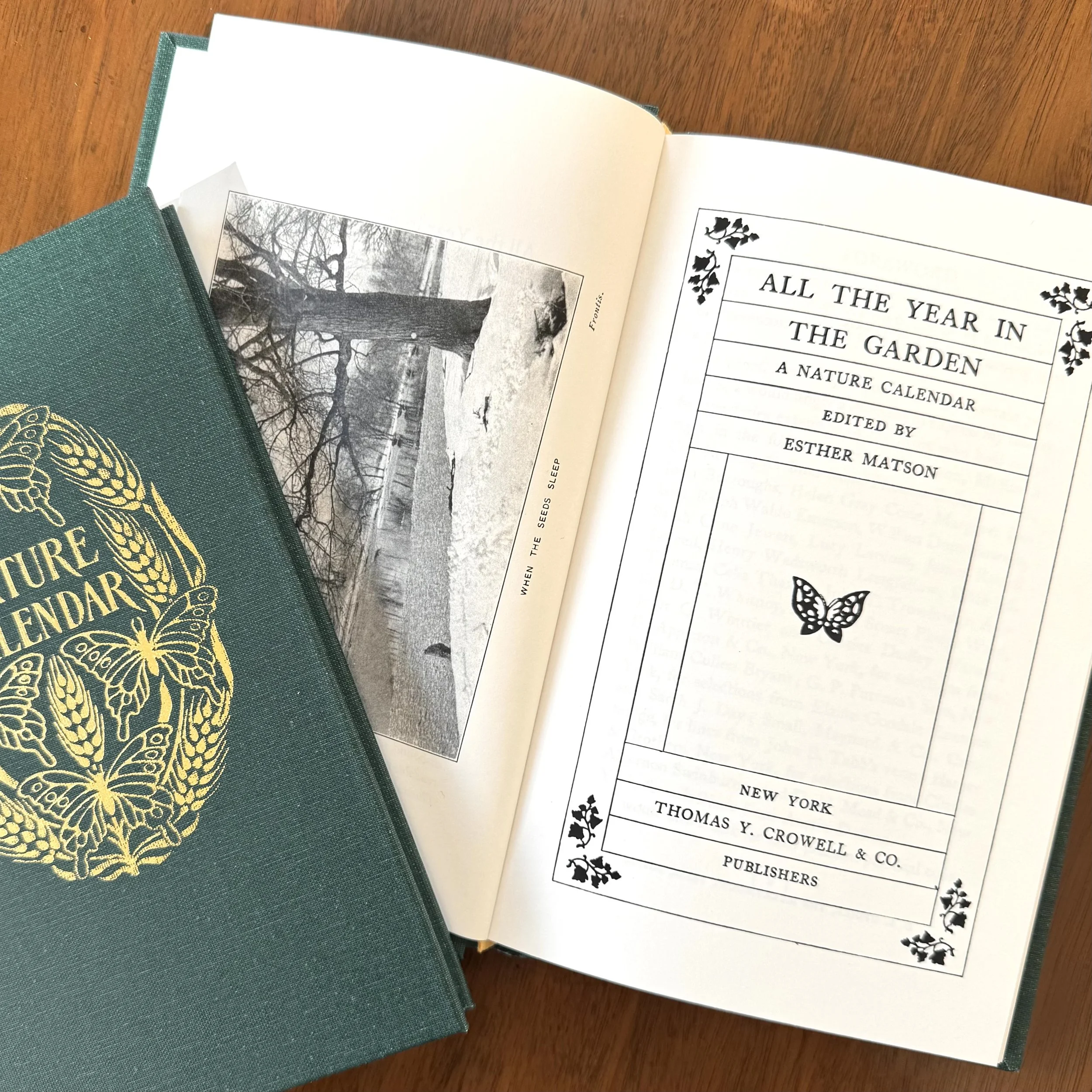 All the Year in the Garden