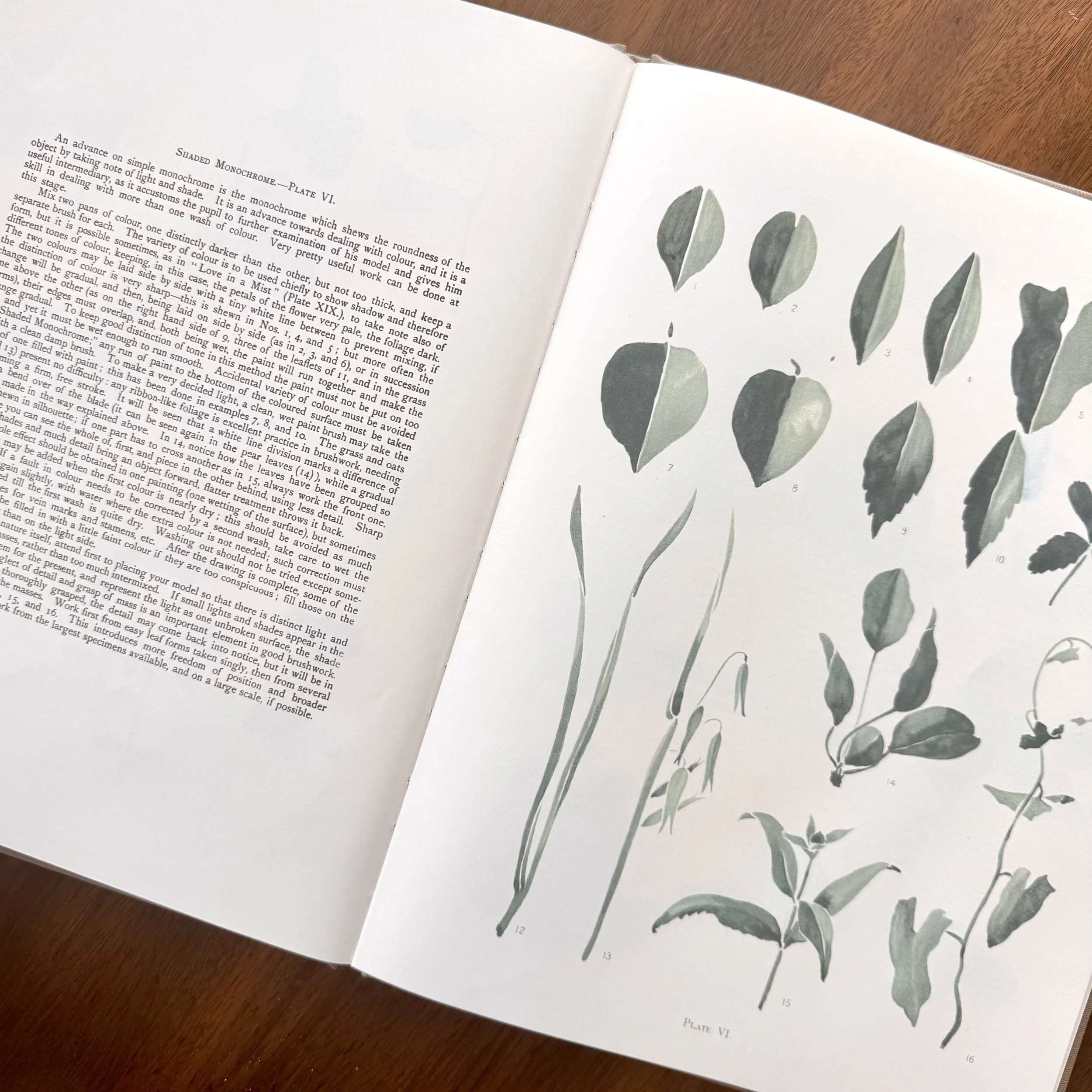 Brush Drawing by May Mallam