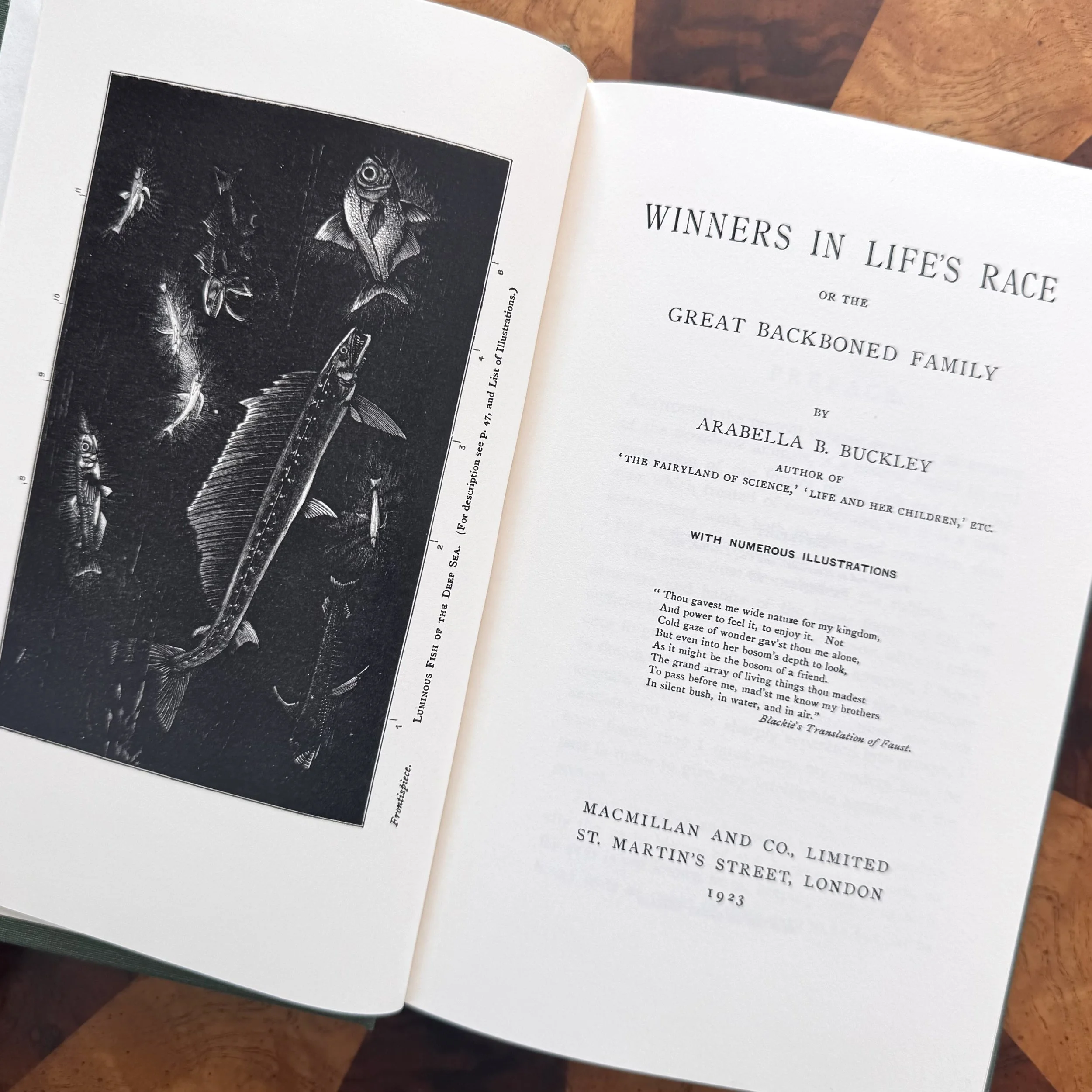 Winners in Life's Race by Buckley