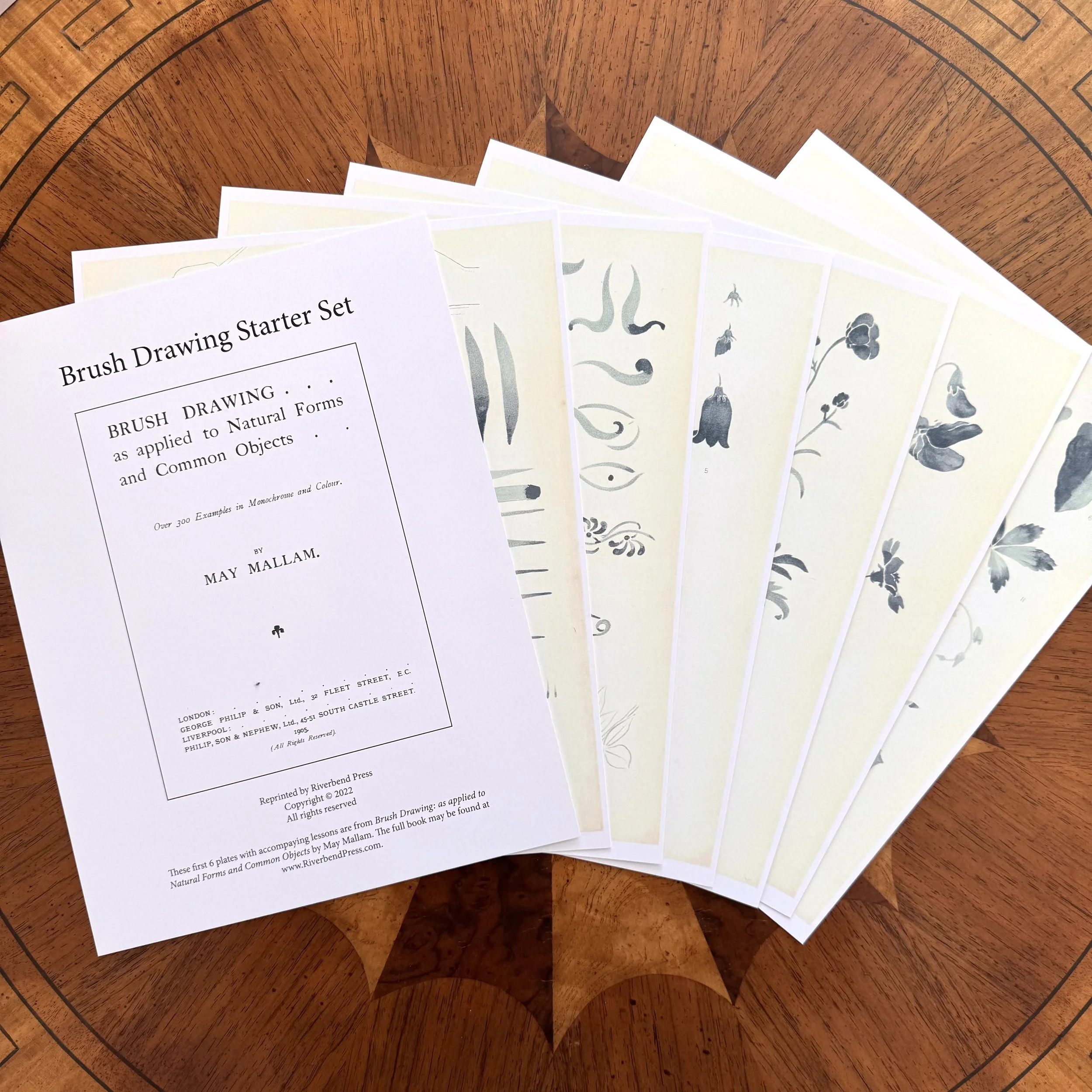 Brush Drawing Starter Set