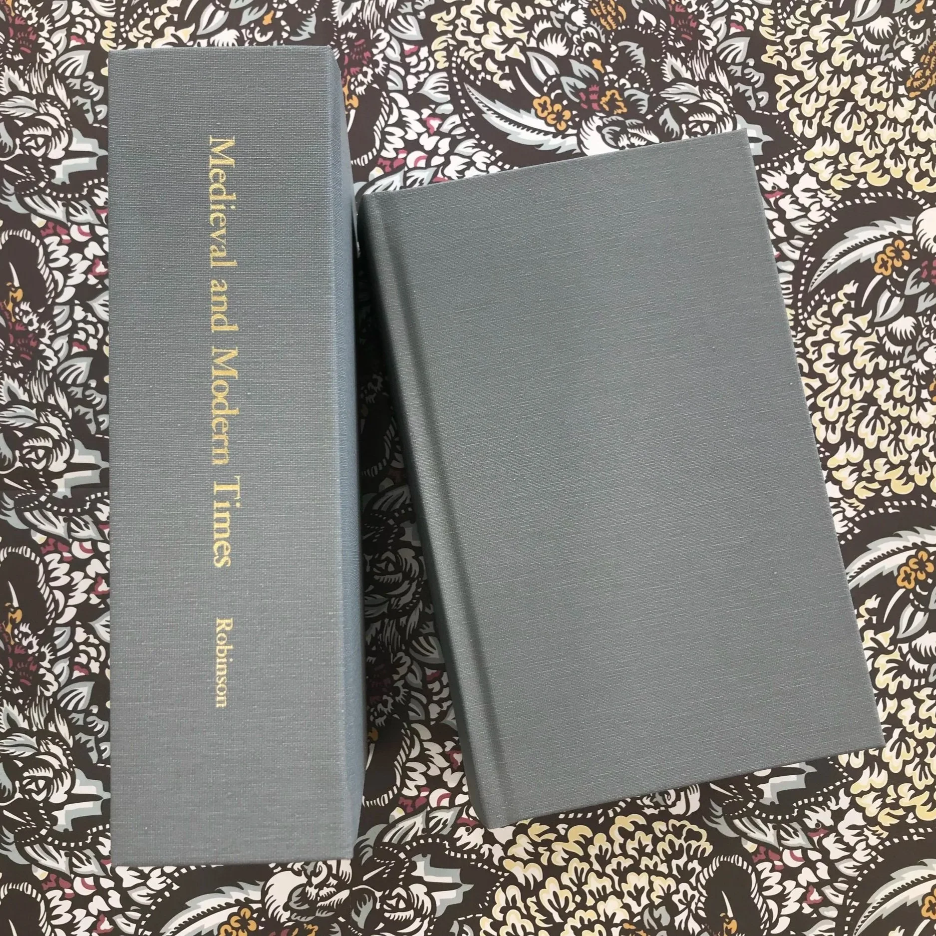 Medieval and Modern Times by Robinson