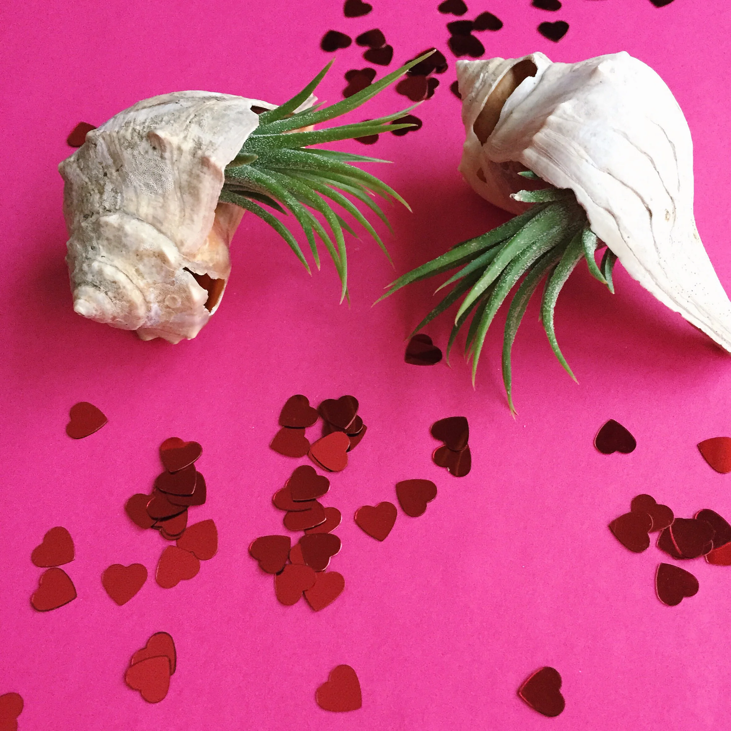 amy_chen_design_valentine_9.jpg