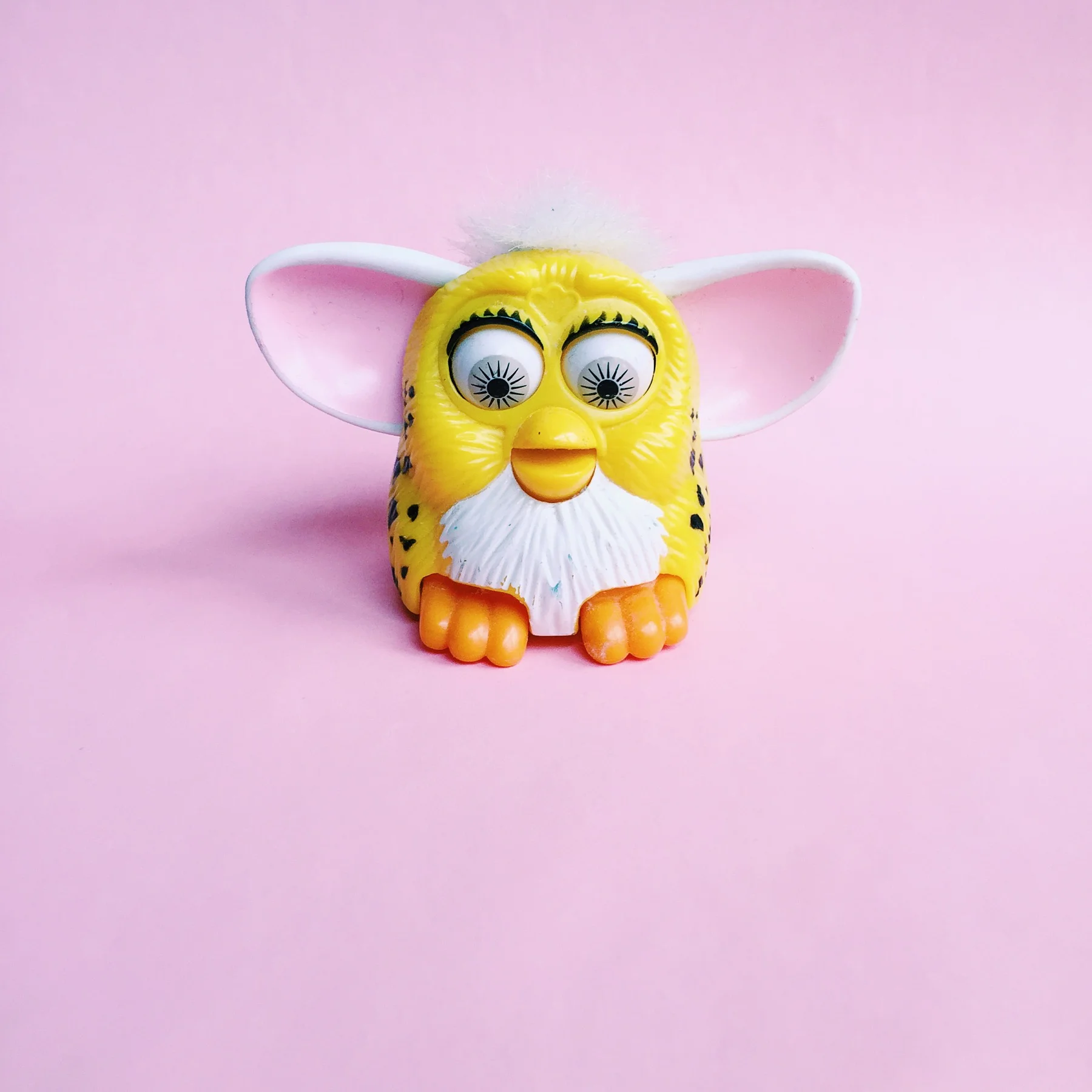 amy_chen_design_styling_staging_furby.jpg
