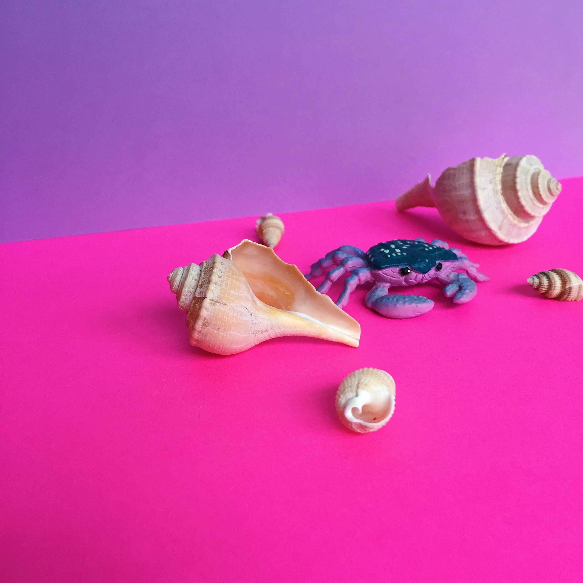 amy_chen_design_styling_staging_crab.jpg