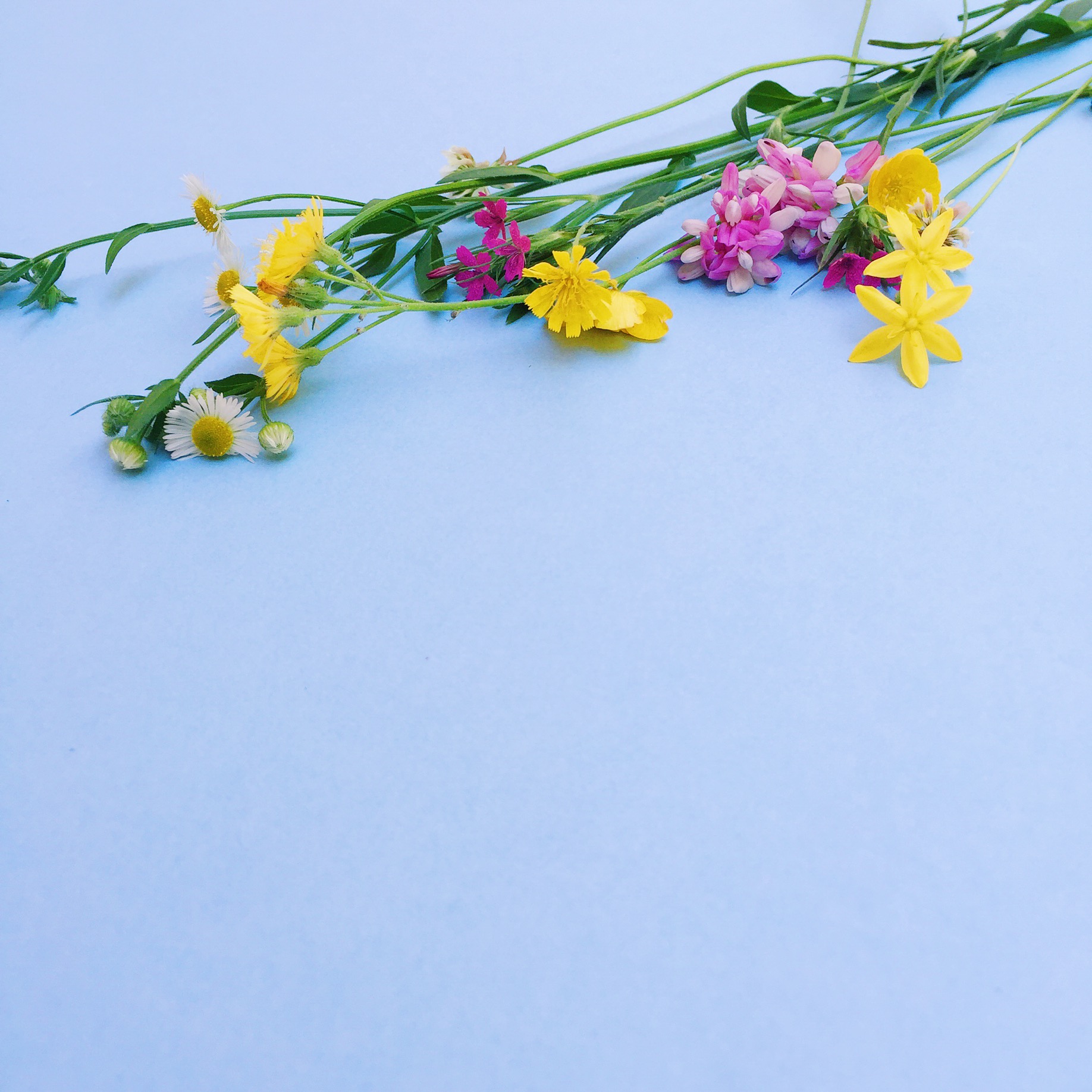 amy_chen_design_styling_staging_wildflowers.jpg