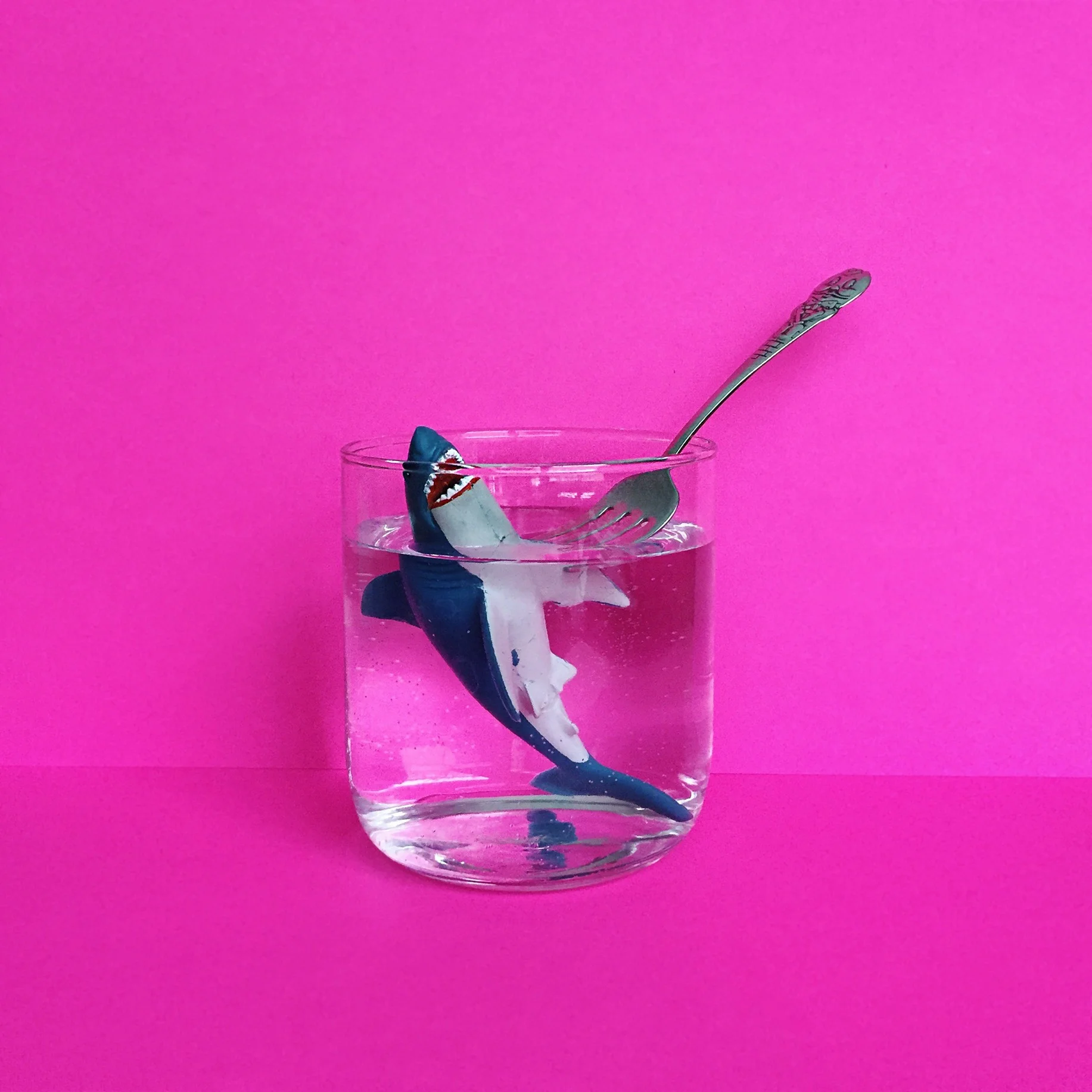 amy_chen_design_styling_staging_shark.jpg