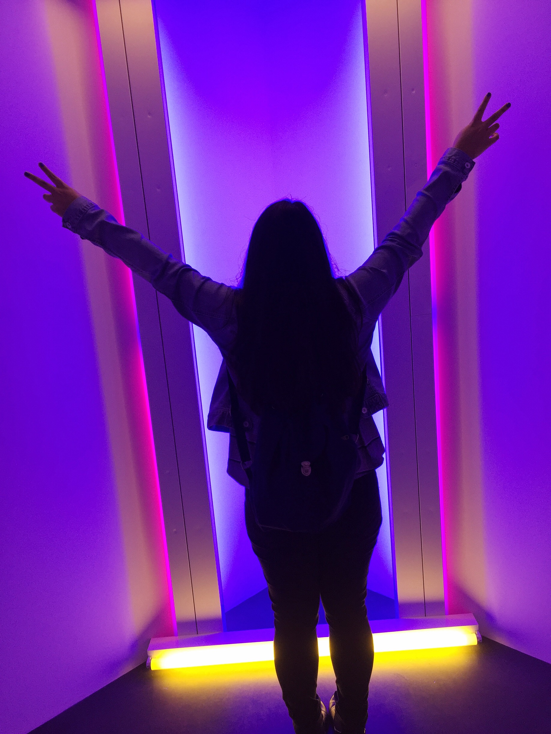 amy_chen_design_dan_flavin_david_zwirner_2.jpg