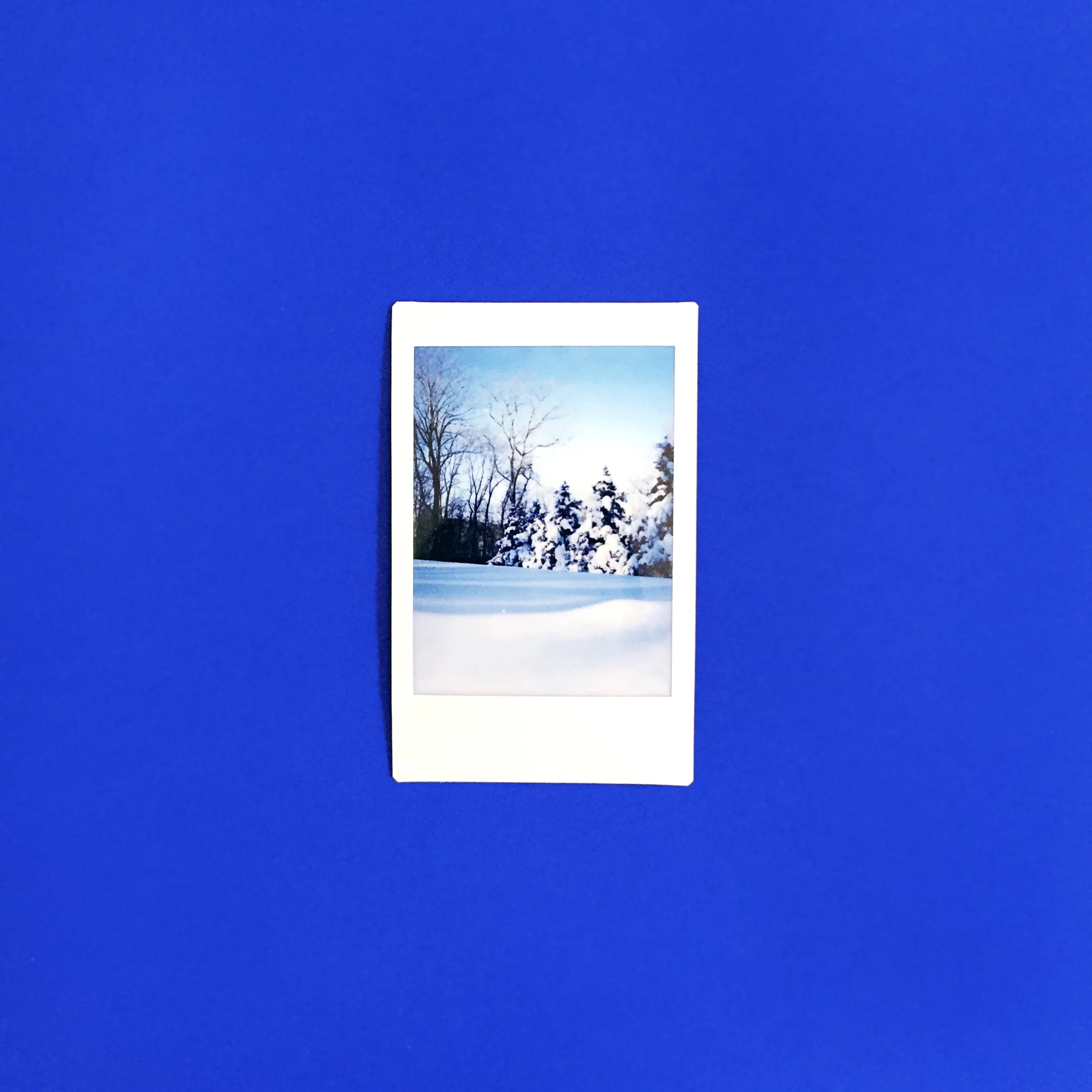 amy_chen_design_winter_polaroid.jpg