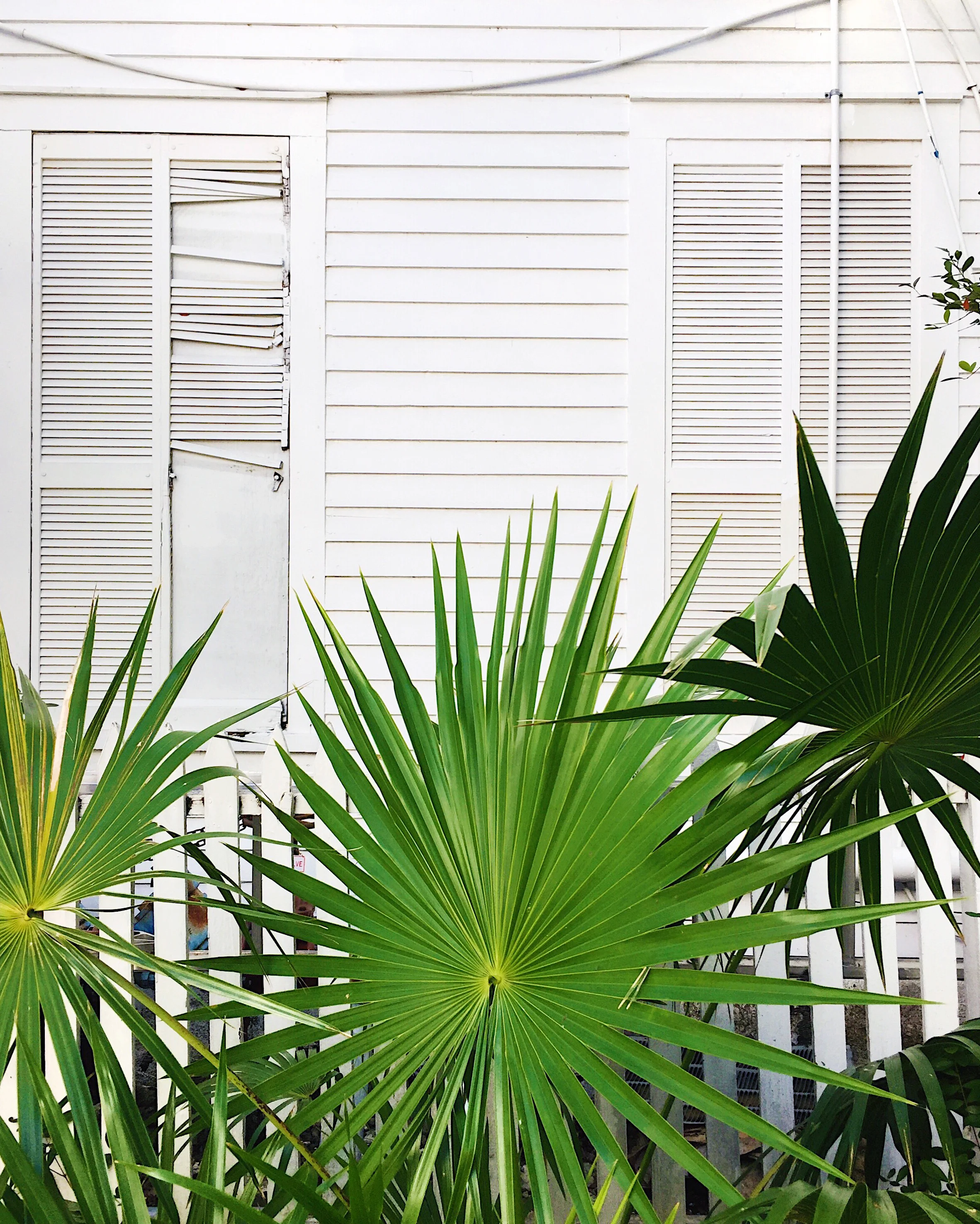 amy_chen_design_key_west_florida_oldest_house.jpg