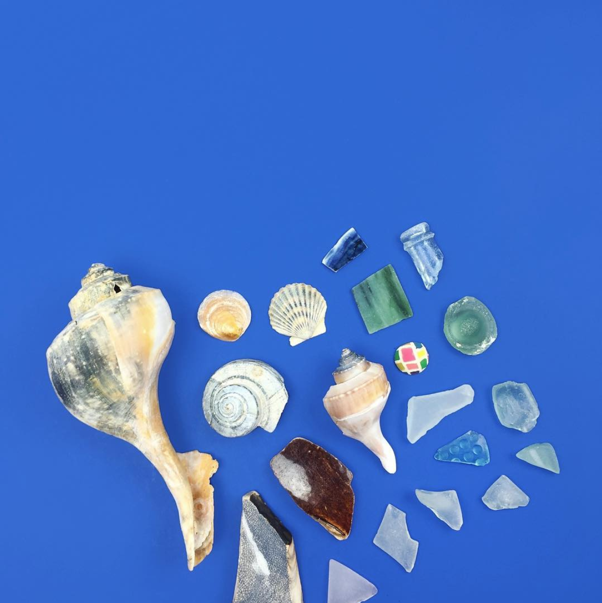 amy_chen_design_coney_island_beach_combing_finds_seaglass_seashells