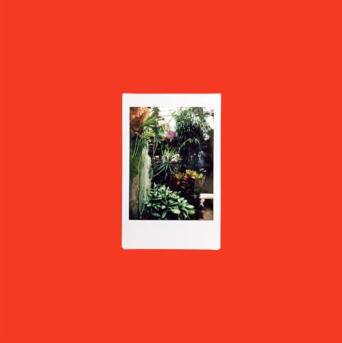 amy_chen_design_duke_farms_nj_new_jersey_greenhouse_plants_polaroid