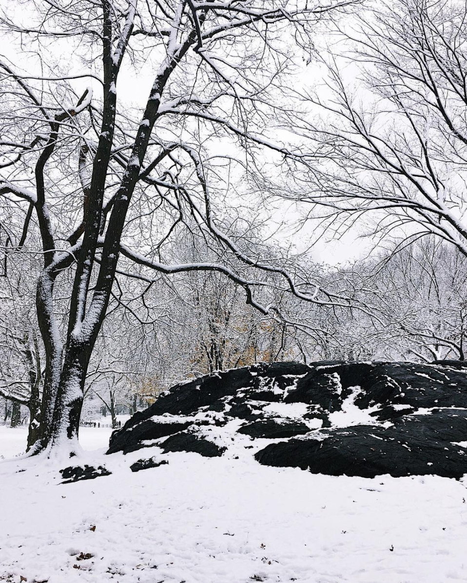 amy_chen_design_central_park_nyc_new_york_snow_day