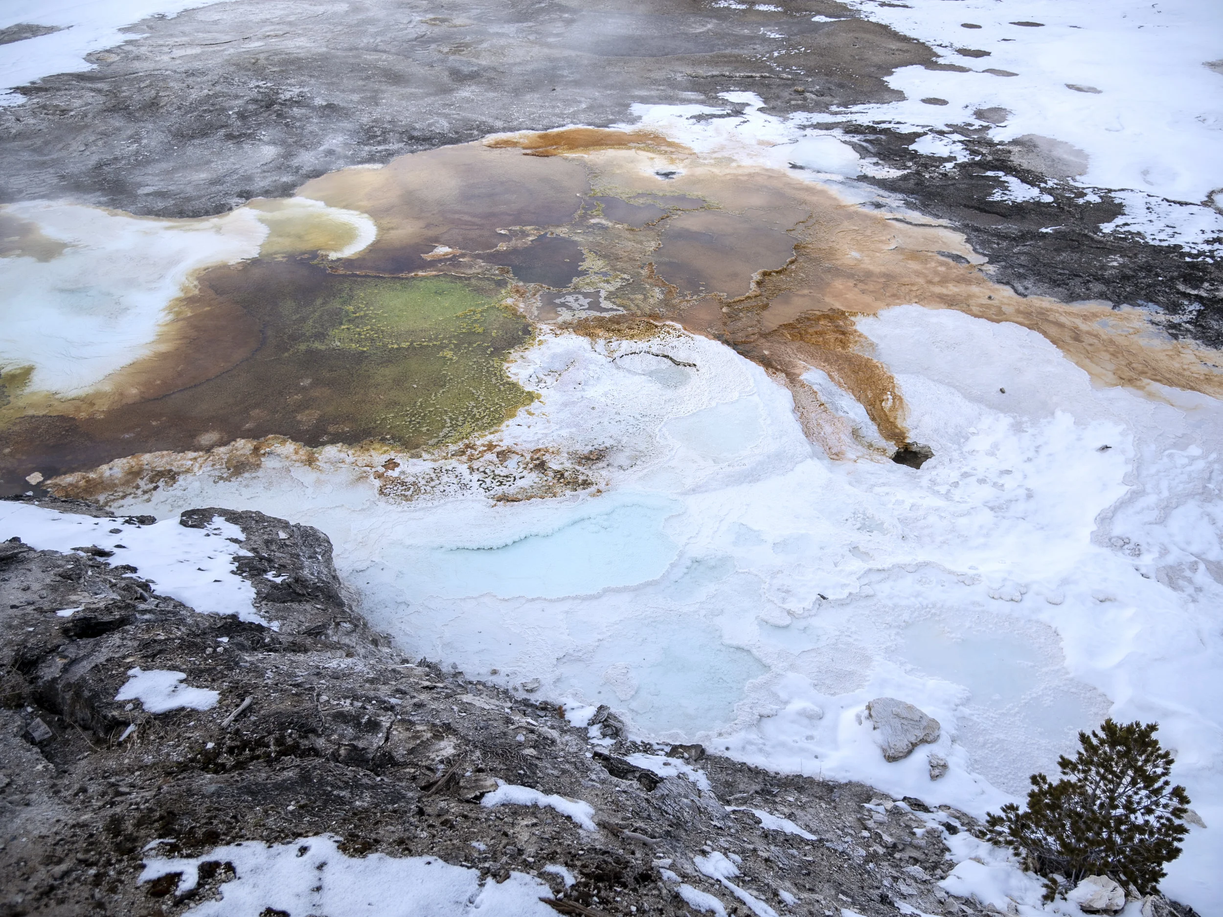 amy_chen_design_montana_yellowstone_1.jpg