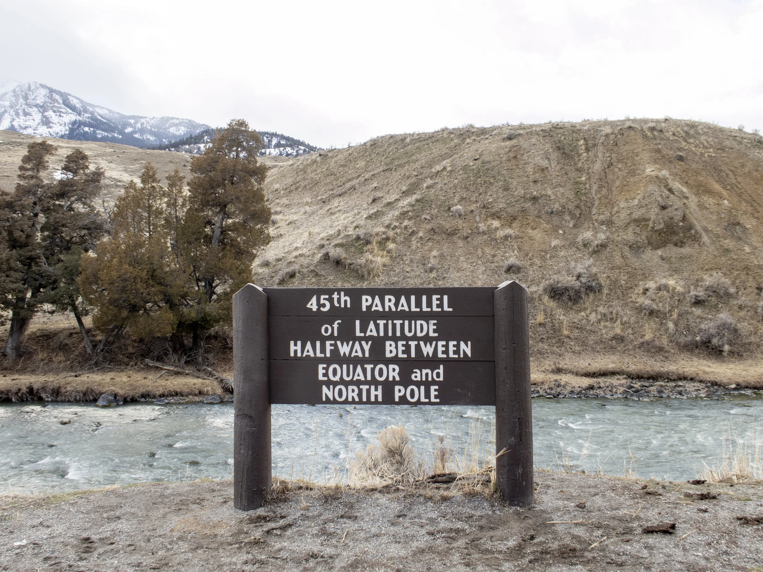 amy_chen_design_montana_yellowstone_5.jpg