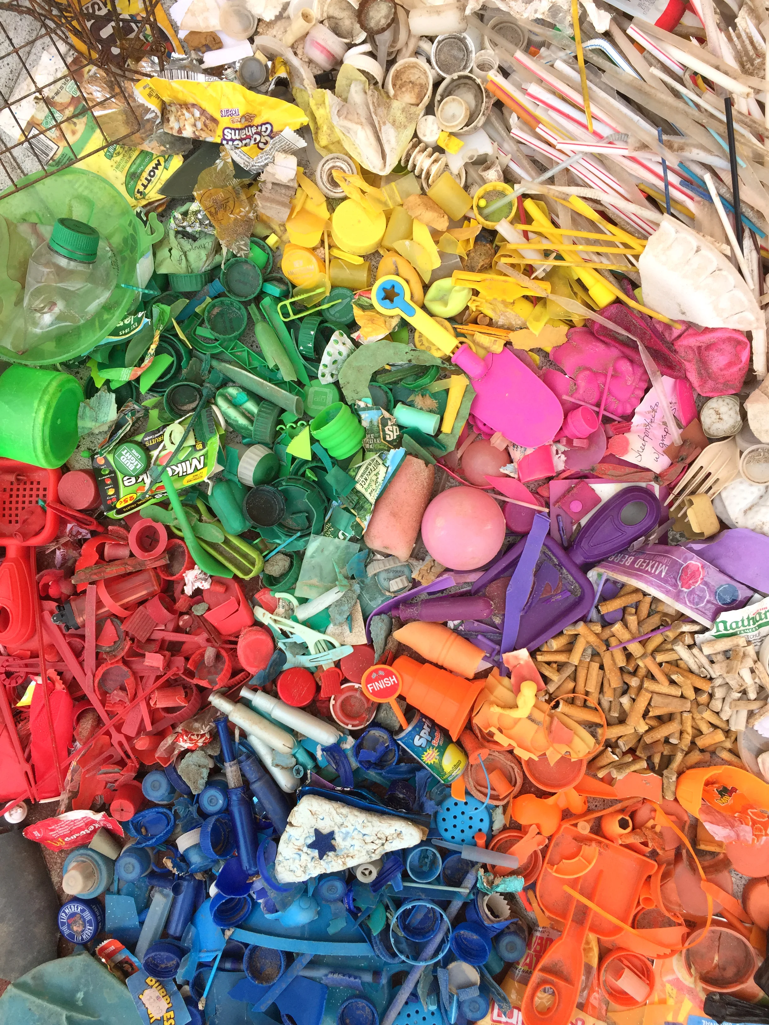 amy_chen_design_beach_clean_coney_island_rainbow_litter.JPG