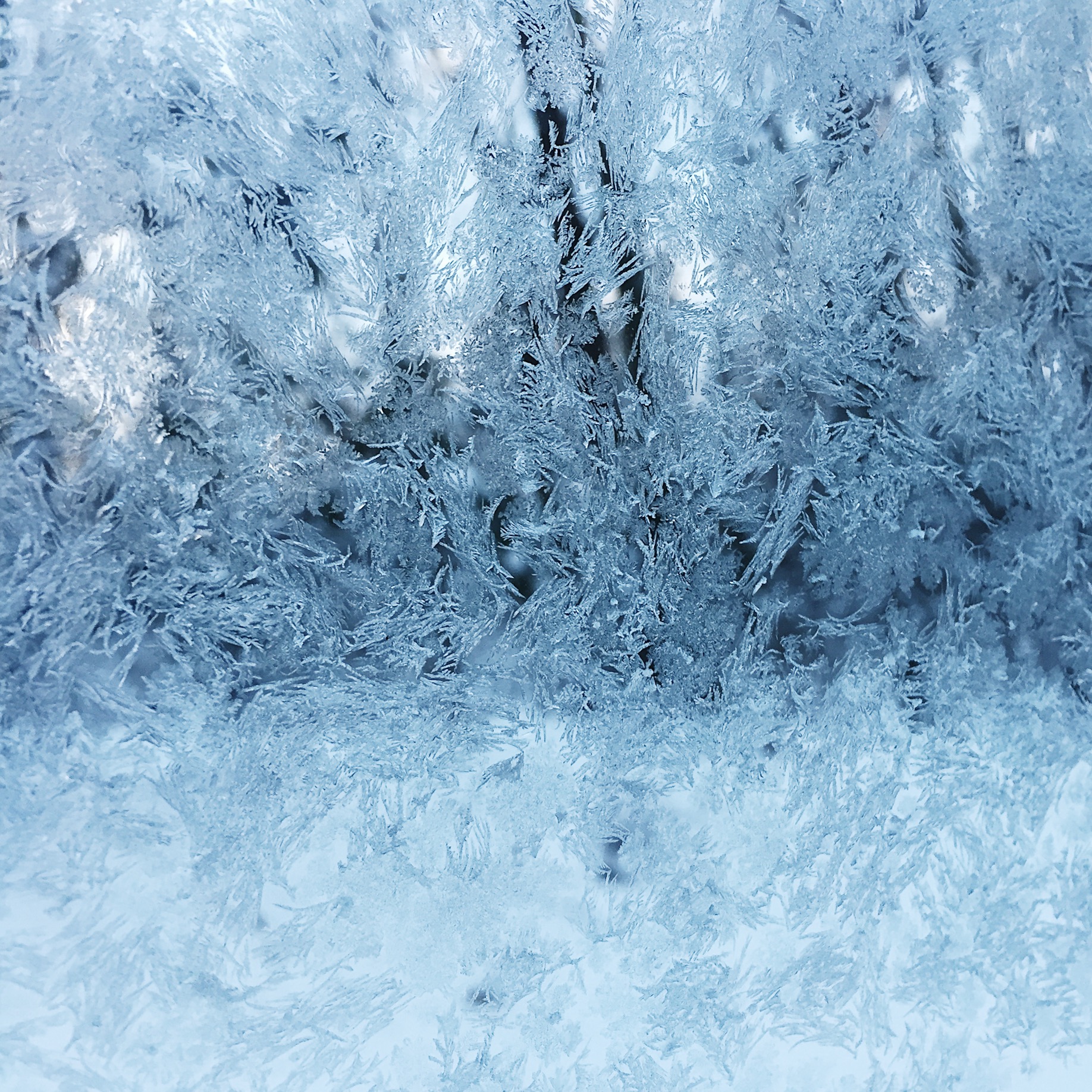 amy_chen_design_blog_winter_frost_texture.jpeg