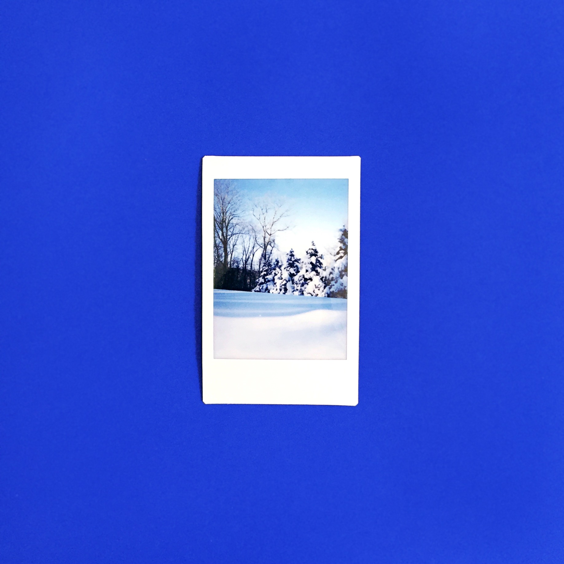 amy_chen_design_blog_winter_polaroid.jpeg
