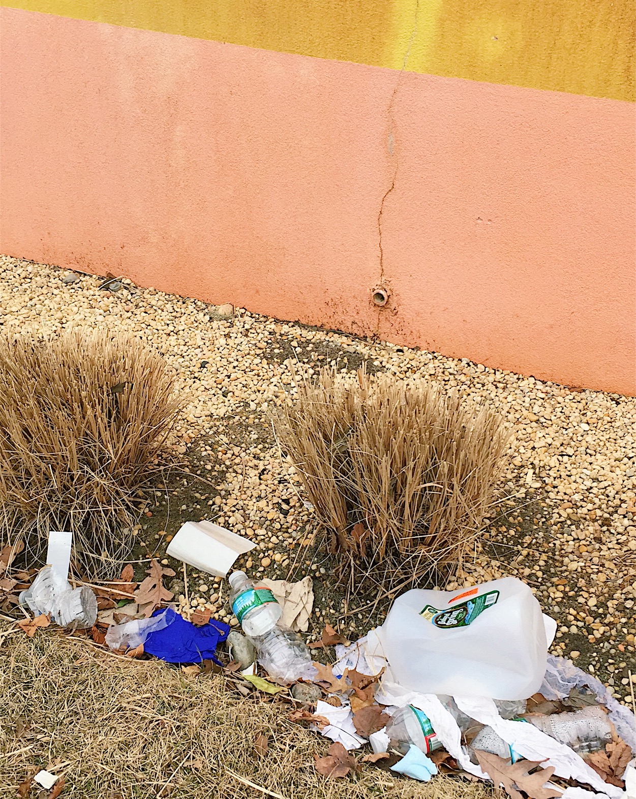 amy_chen_design_surfrider_asbury_park_new_jersey_beach_clean_sidewalk.jpeg
