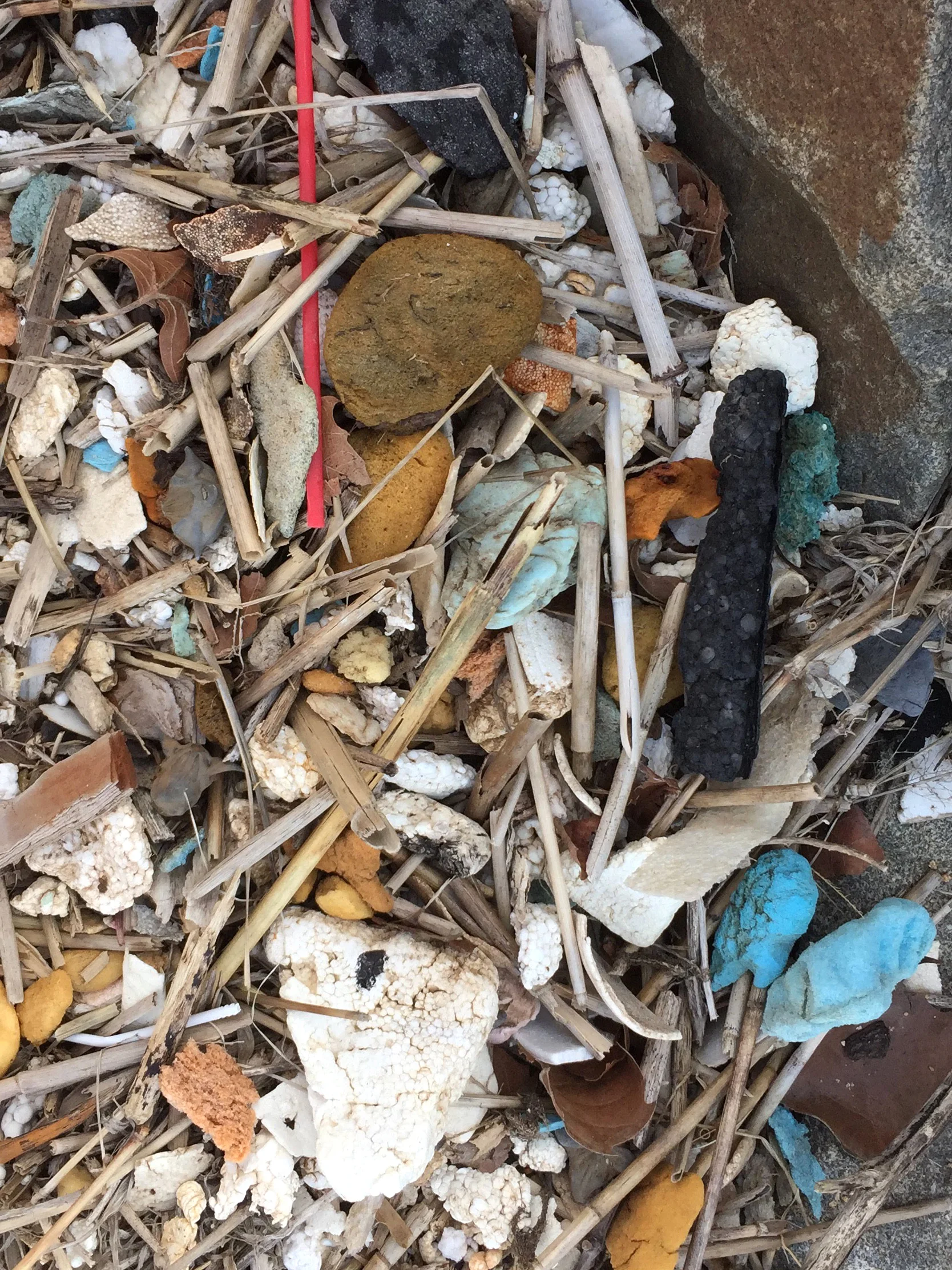 amy_chen_design_sandy_hook_beach_clean_plastic_fort_hancock_officers_row.jpg