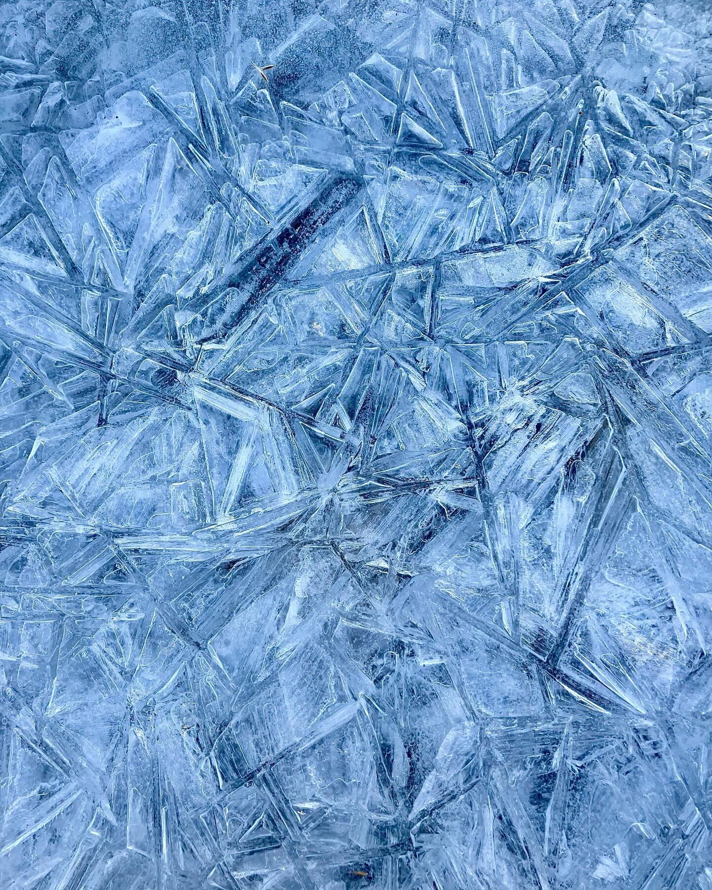 this past week has been frigid 🥶, but one that has been perfect for ice photos 📸❄️🙃

despite frozen fingertips and usually awkwardly leaning over to get these shots, I think the fun in it for me is taking the time to notice all the shapes and patt