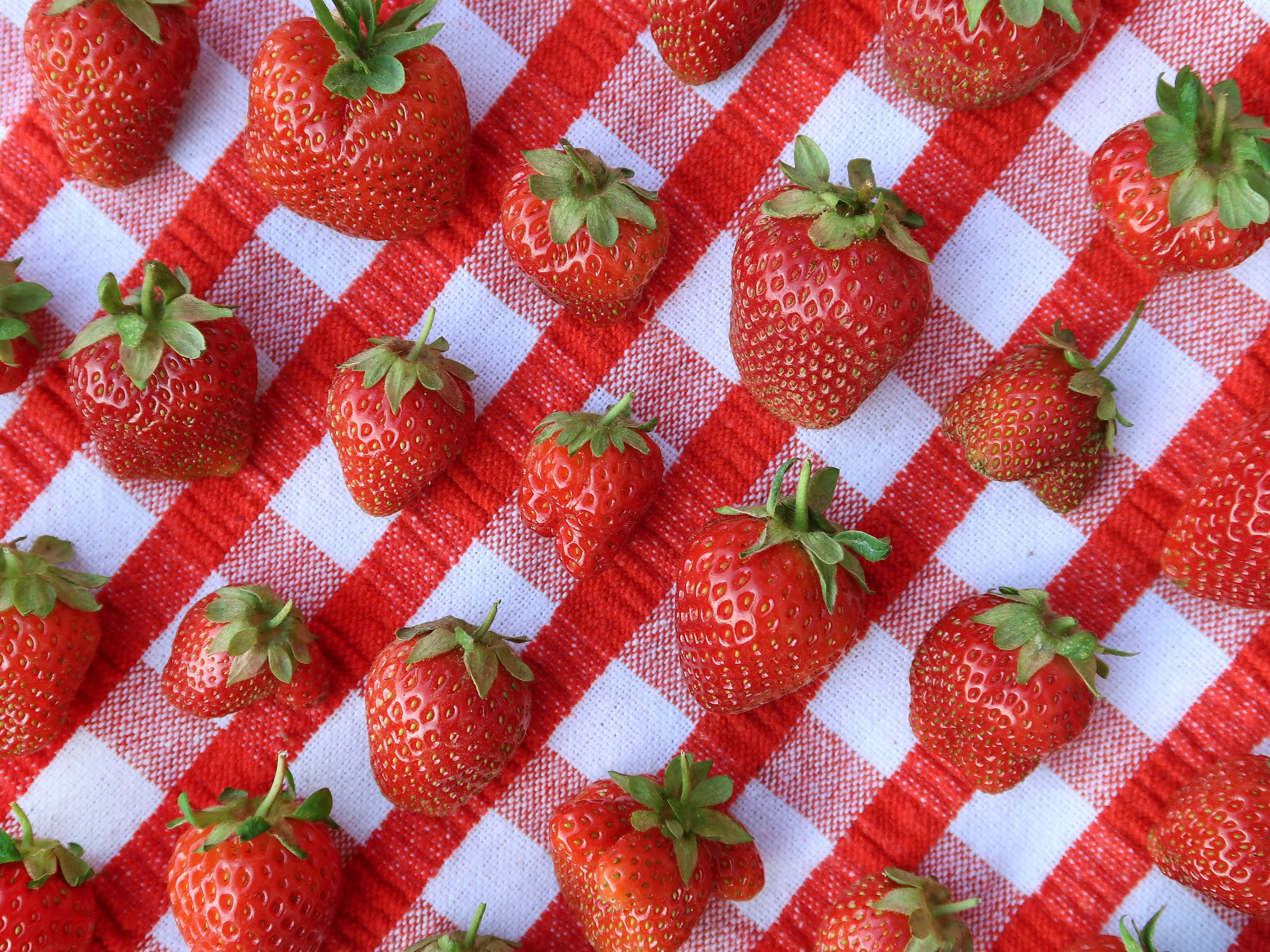 Strawberry Picking, Peony Peeping, Park Frolicking