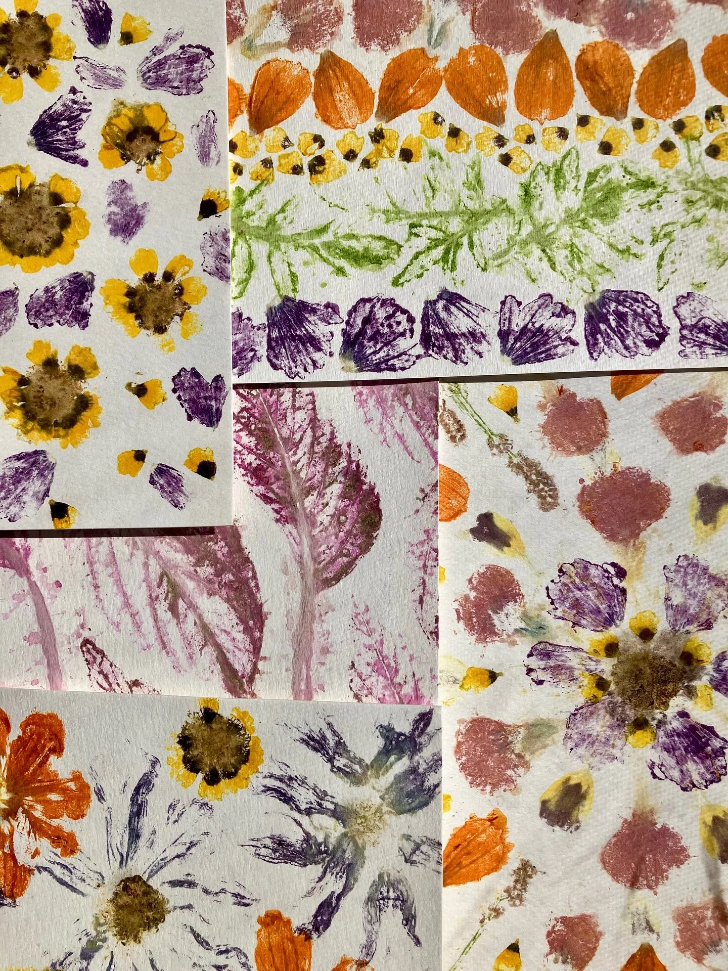 hammered some of the flowers in my garden onto watercolor paper for fun 😍 new favorite way to preserve the season unlocked 🌼

#flowerpounding #flowerhammering #tatakizome #hapazome #ecoprinting #gardening #flowerprint #plantdye #naturaldye #summer 