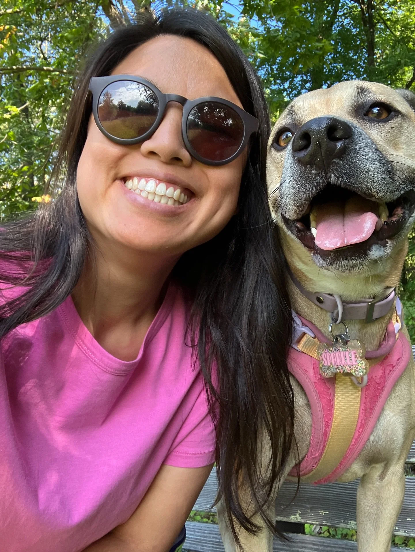 we&rsquo;ll always have summer 🌼

#summer #endofsummer #summerdump #jerseycollective #rescueismyfavoritebreed #summergarden #summergardening