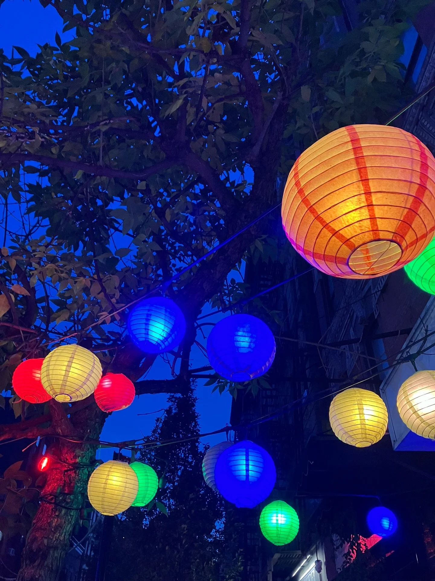 dinner at @scarrspizza 🍕, dessert at bananas @morgensternsnyc 🍦, and @rustonkelly (&amp; @sam_macpherson) at @boweryballroom 🎶

some unexpected joys along the way: 🏮 at @stickyricenyc and 🥔 snack chandelier at @champagneproblemsnyc ✨

#nyc #lowe