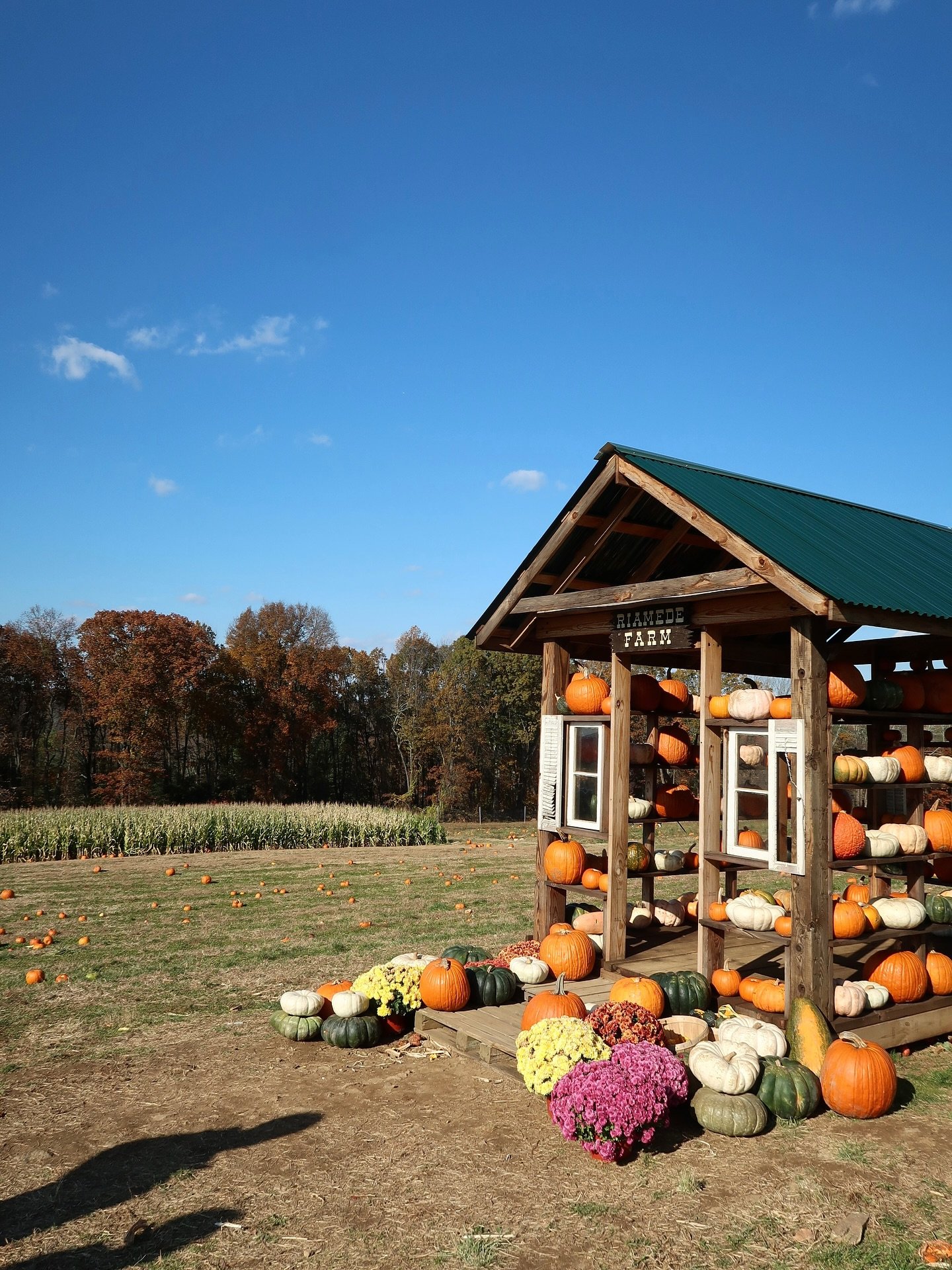 couldn&rsquo;t have asked for a better last day of the fall festival at @riamedefarm 🥹🍂🍎 thanks for having us, and congrats on wrapping a great season! 🫶

next weekend, it&rsquo;s Christmas at the farm ✨🎄✨ stop by and shop 70+ local artisan vend