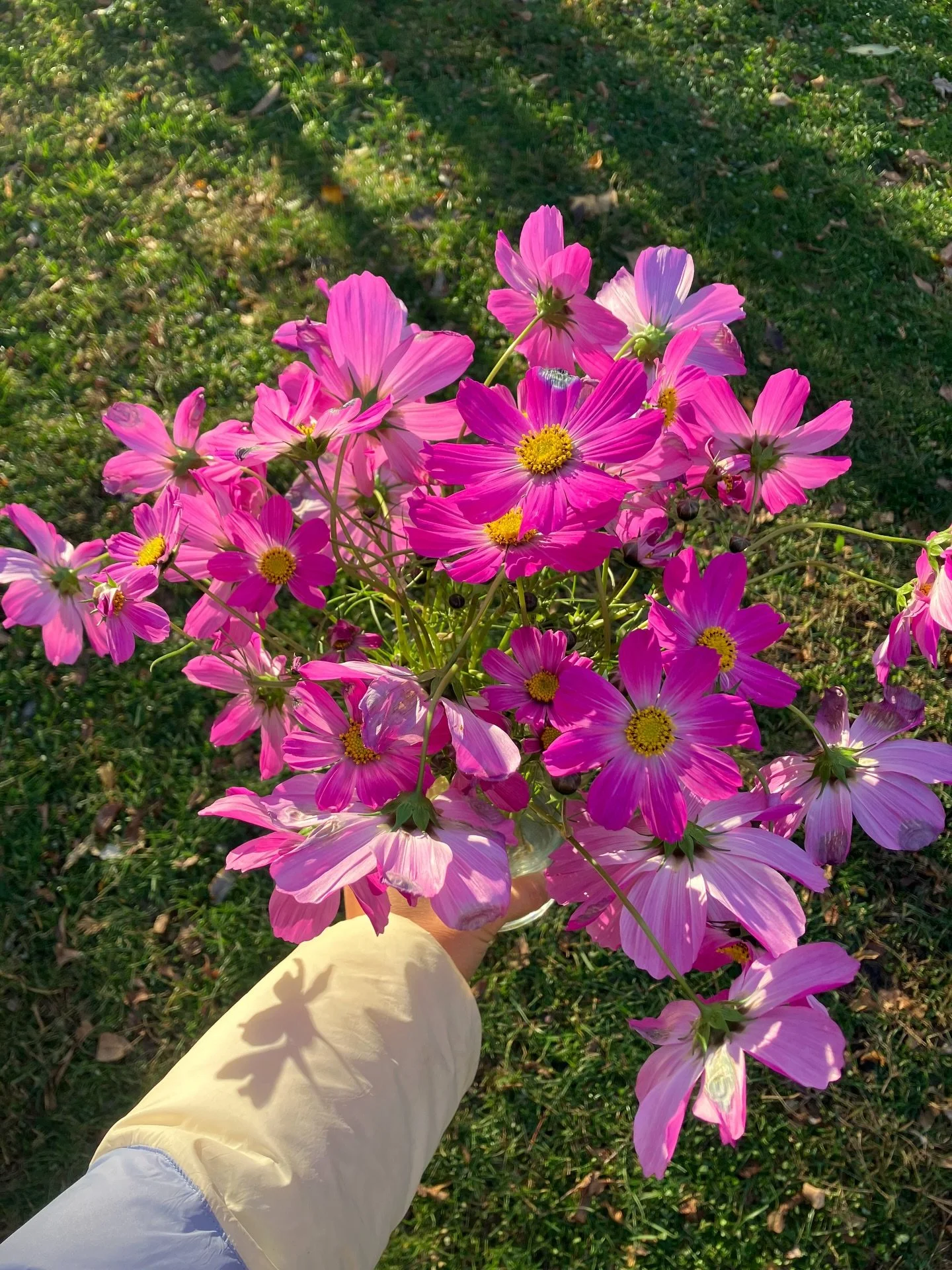 some bits of november 🍂 enjoyed every last bloom before hard frost 🌸, every drop of sunlight before darkness at 4:30 🥲, frolicking in the first snow(s) ❄️, and welcoming cozy crafting / cooking / couch season 😏✂️🍪 hard to believe it&rsquo;s alre