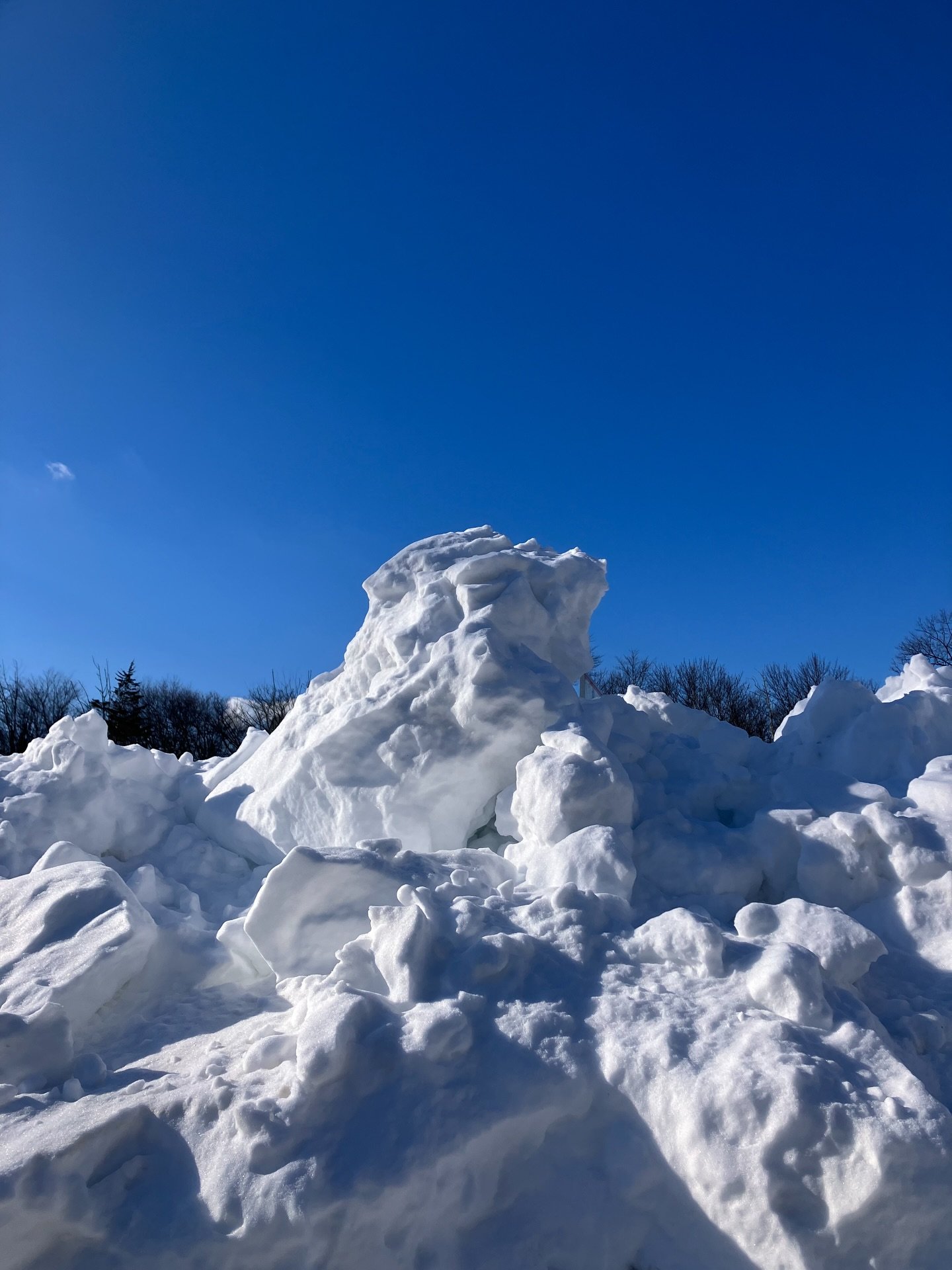a very snowy and cold second half of january 🥶❄️ still getting out for our daily walks the best we can 😅, but my knees will be thrilled when this all melts 💀 savoring hot drinks and soup and couch snuggles til further notice 🙃

#january #winter #